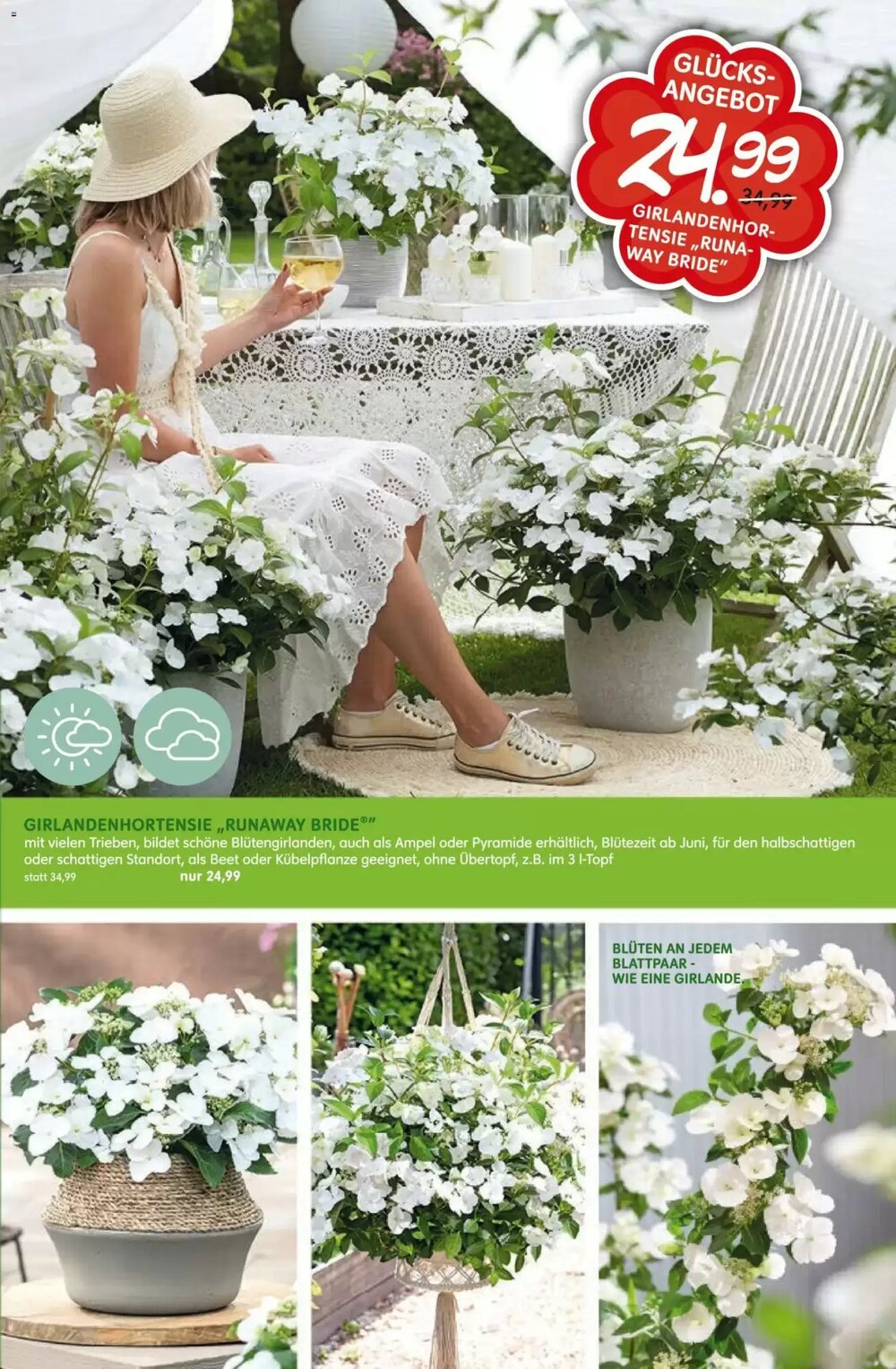 Blumen Risse Prospekt (ab 16.04.2026) zum Blättern - Seite 11