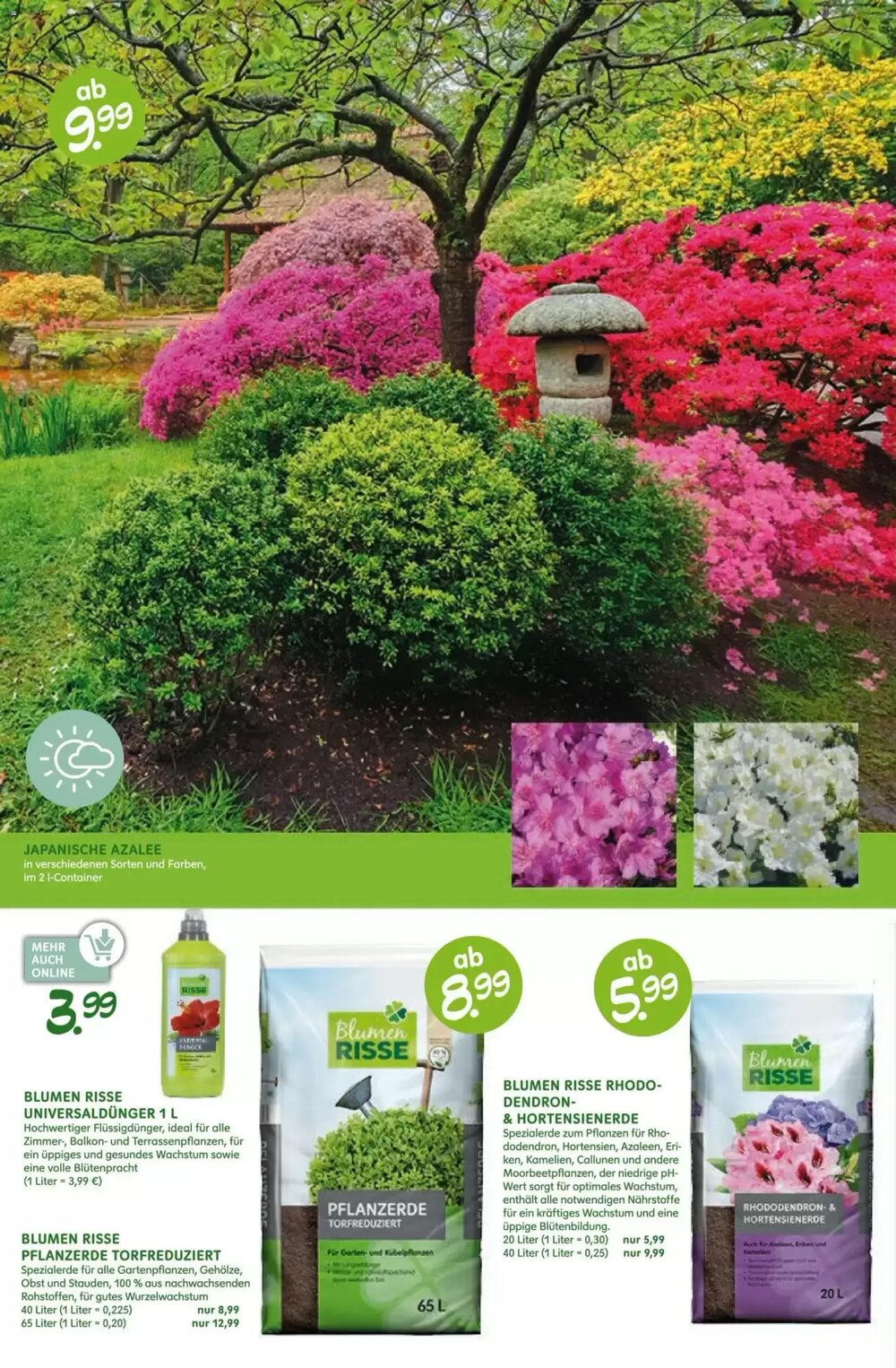 Blumen Risse Prospekt (ab 16.04.2026) zum Blättern - Seite 12