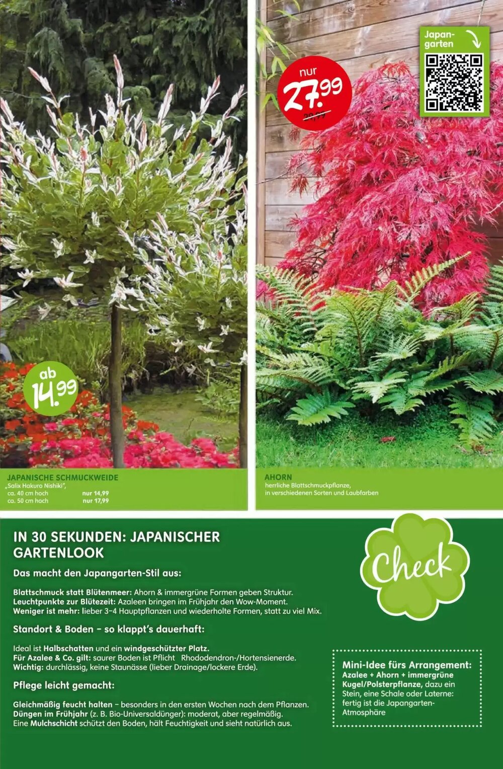 Blumen Risse Prospekt (ab 16.04.2026) zum Blättern - Seite 13