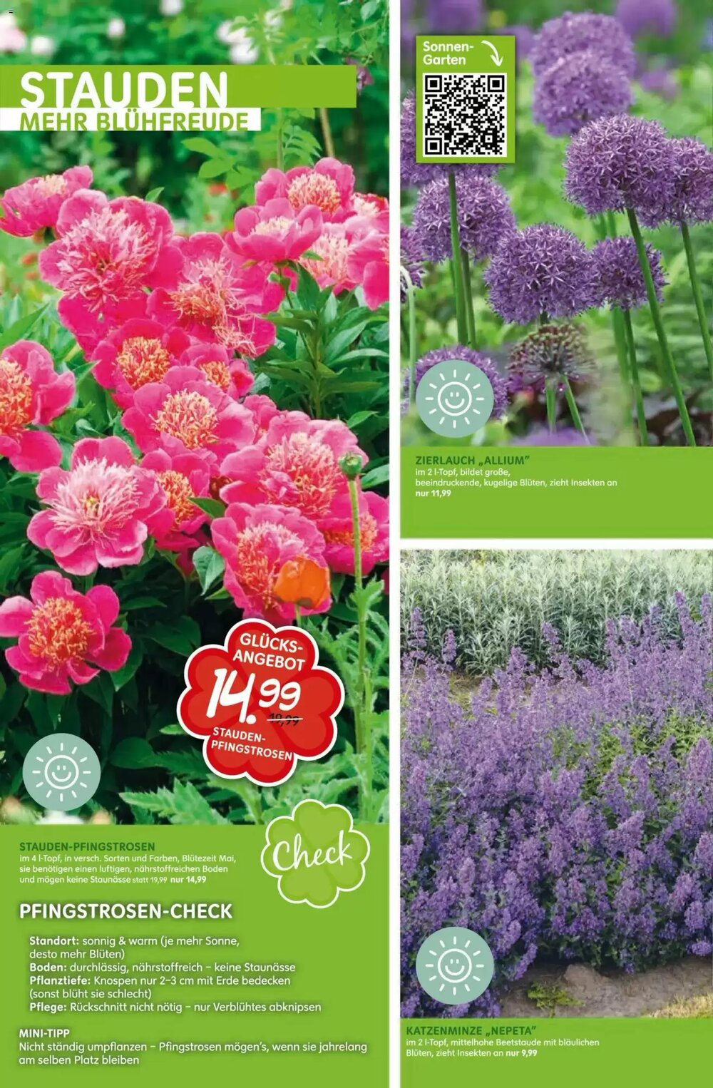 Blumen Risse Prospekt (ab 16.04.2026) zum Blättern - Seite 14