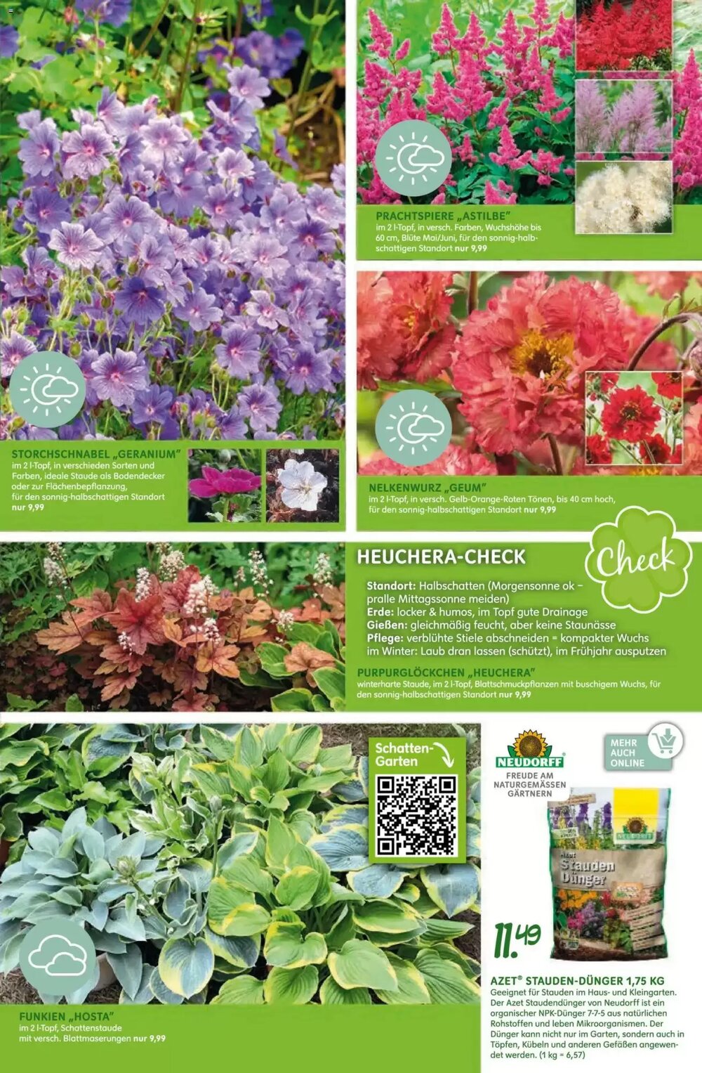 Blumen Risse Prospekt (ab 16.04.2026) zum Blättern - Seite 15