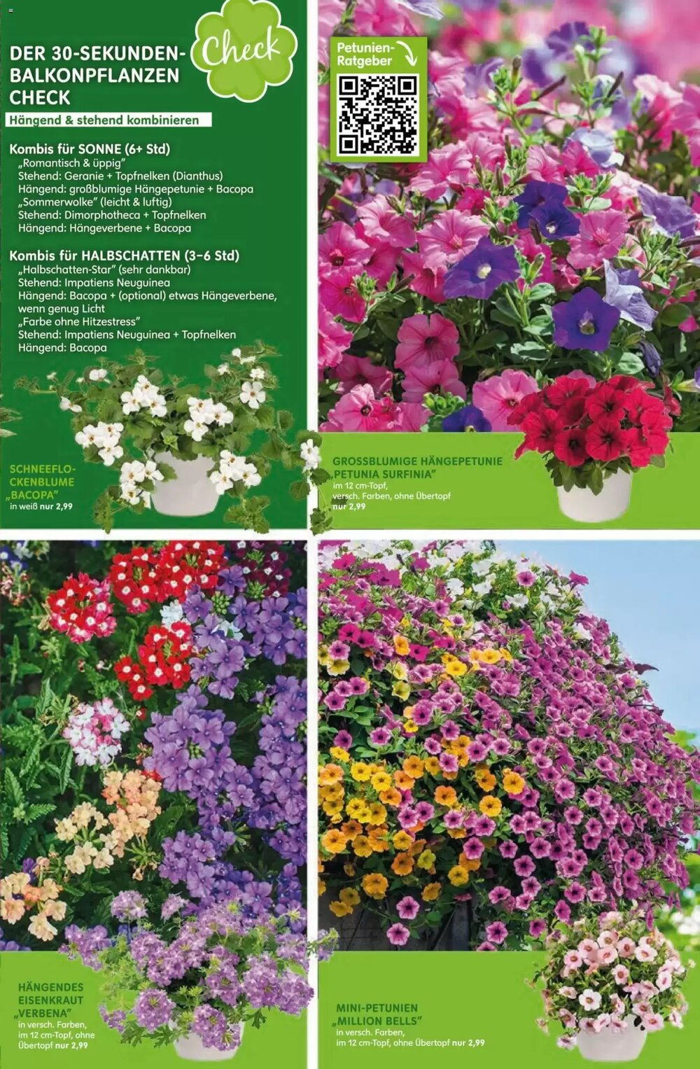 Blumen Risse Prospekt (ab 16.04.2026) zum Blättern - Seite 5