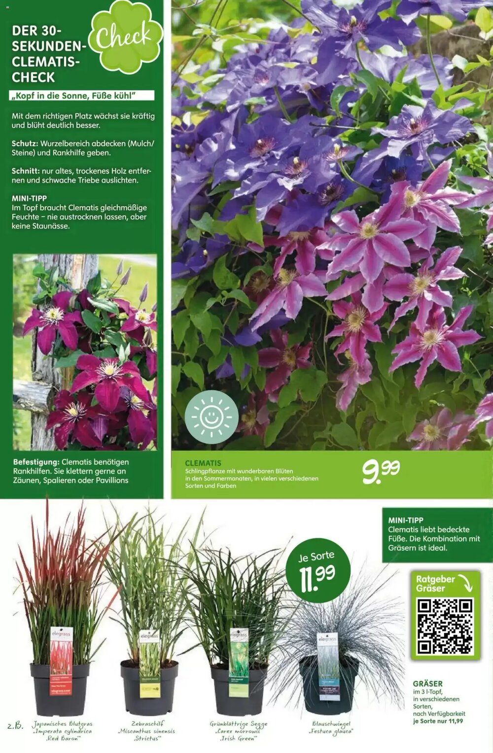 Blumen Risse Prospekt (ab 16.04.2026) zum Blättern - Seite 8