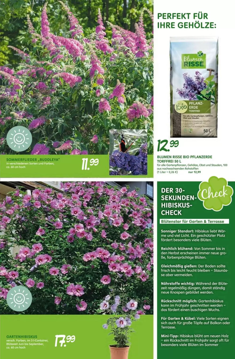 Blumen Risse Prospekt (ab 16.04.2026) zum Blättern - Seite 9