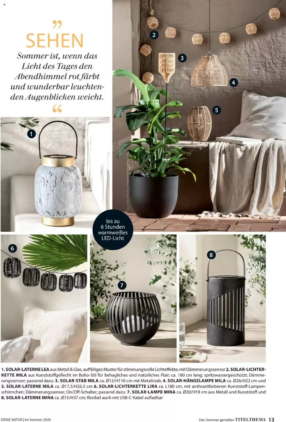 Dehner Prospekt (ab 17.04.2026) zum Blättern - Seite 13