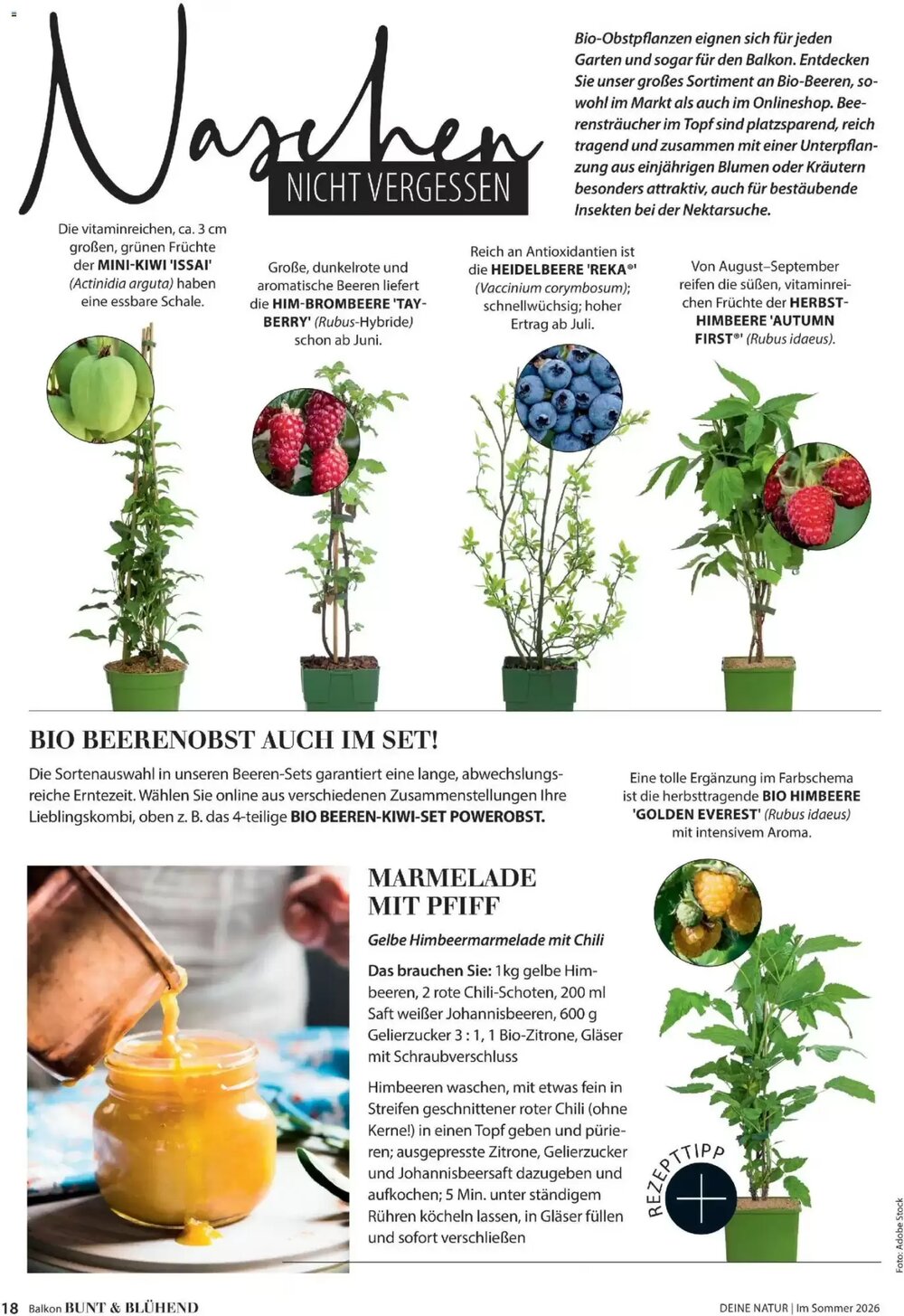 Dehner Prospekt (ab 17.04.2026) zum Blättern - Seite 18