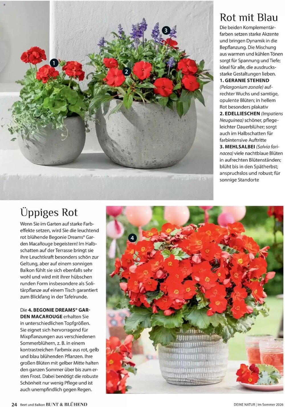 Dehner Prospekt (ab 17.04.2026) zum Blättern - Seite 24