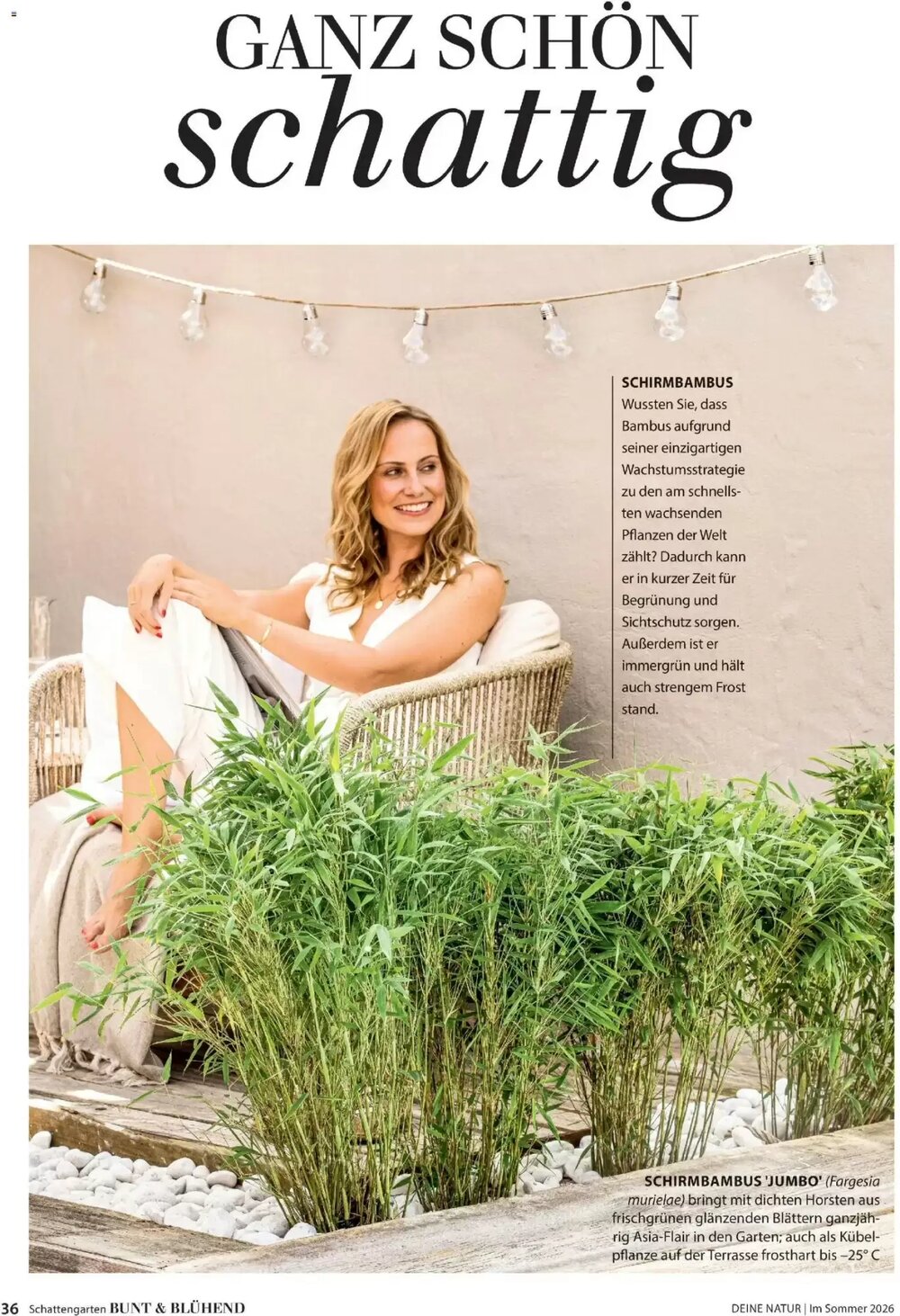 Dehner Prospekt (ab 17.04.2026) zum Blättern - Seite 36