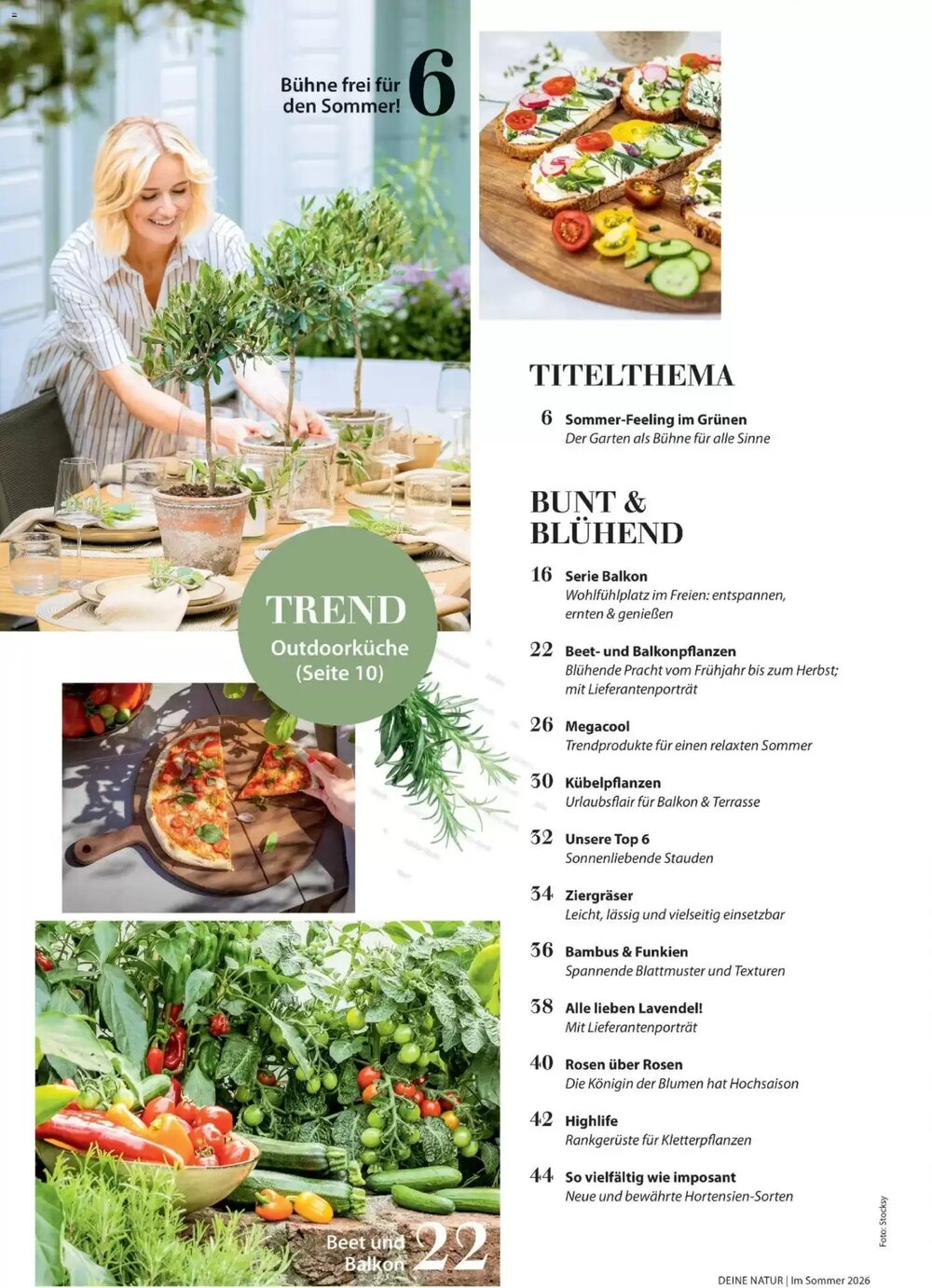 Dehner Prospekt (ab 17.04.2026) zum Blättern - Seite 4