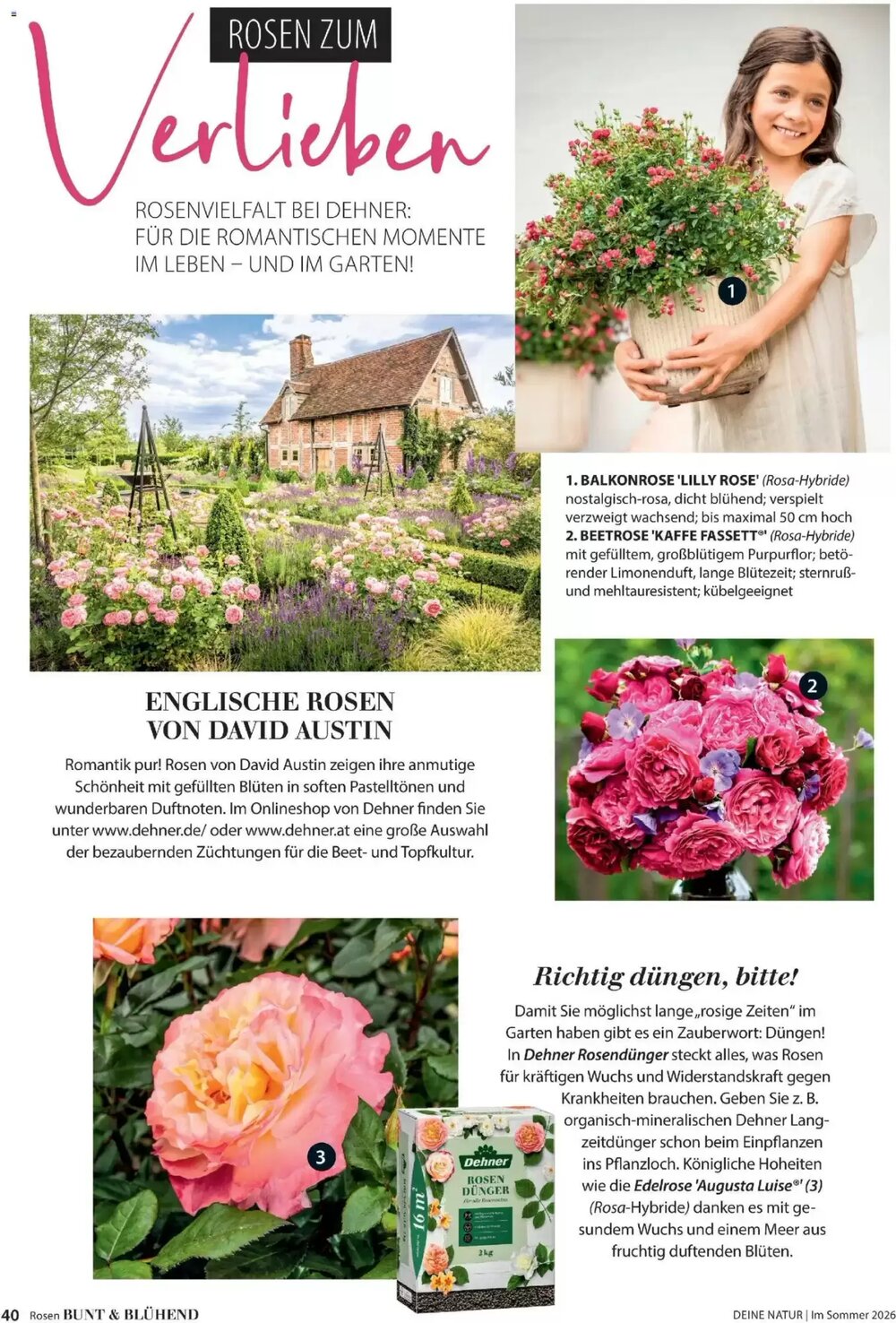 Dehner Prospekt (ab 17.04.2026) zum Blättern - Seite 40