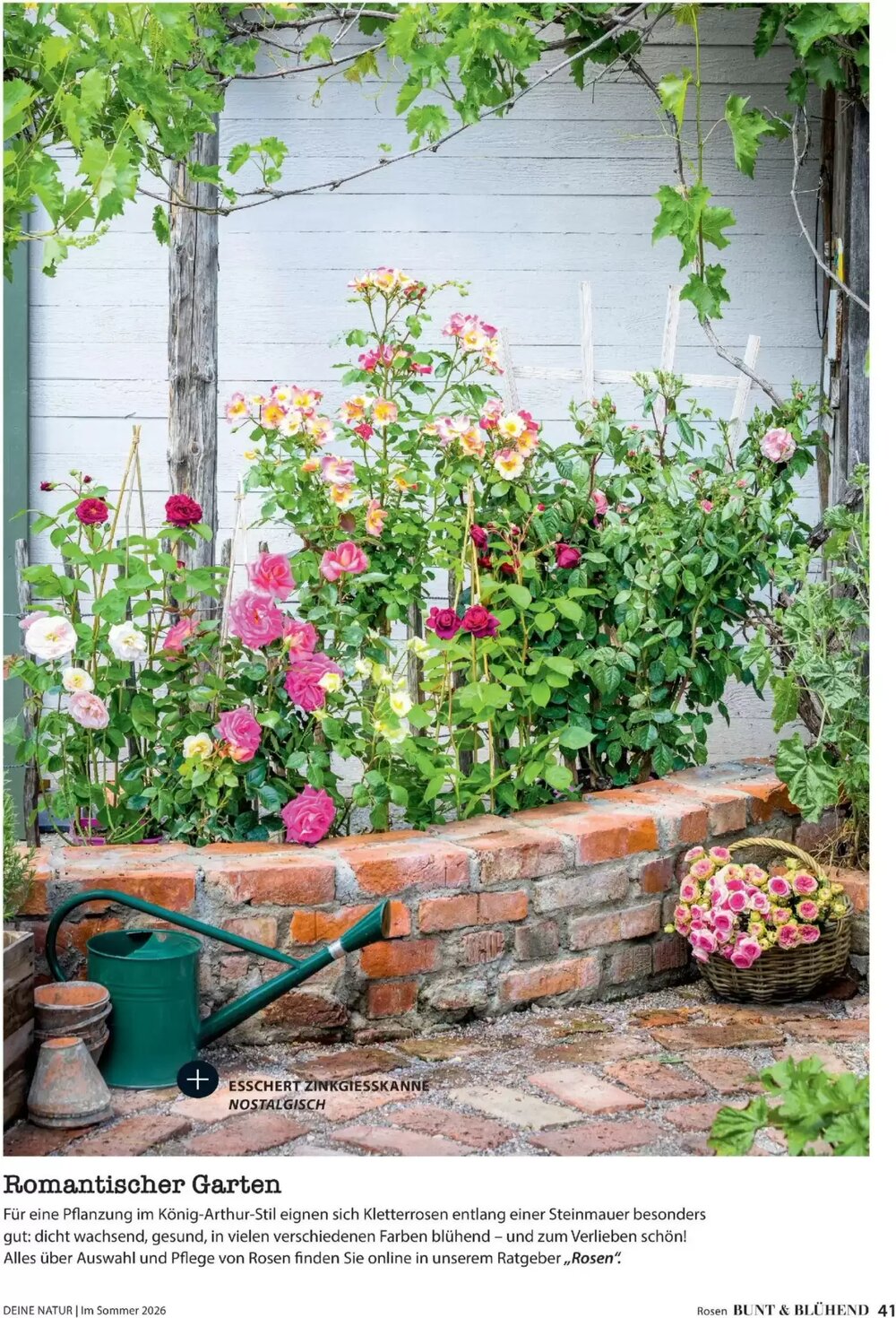 Dehner Prospekt (ab 17.04.2026) zum Blättern - Seite 41