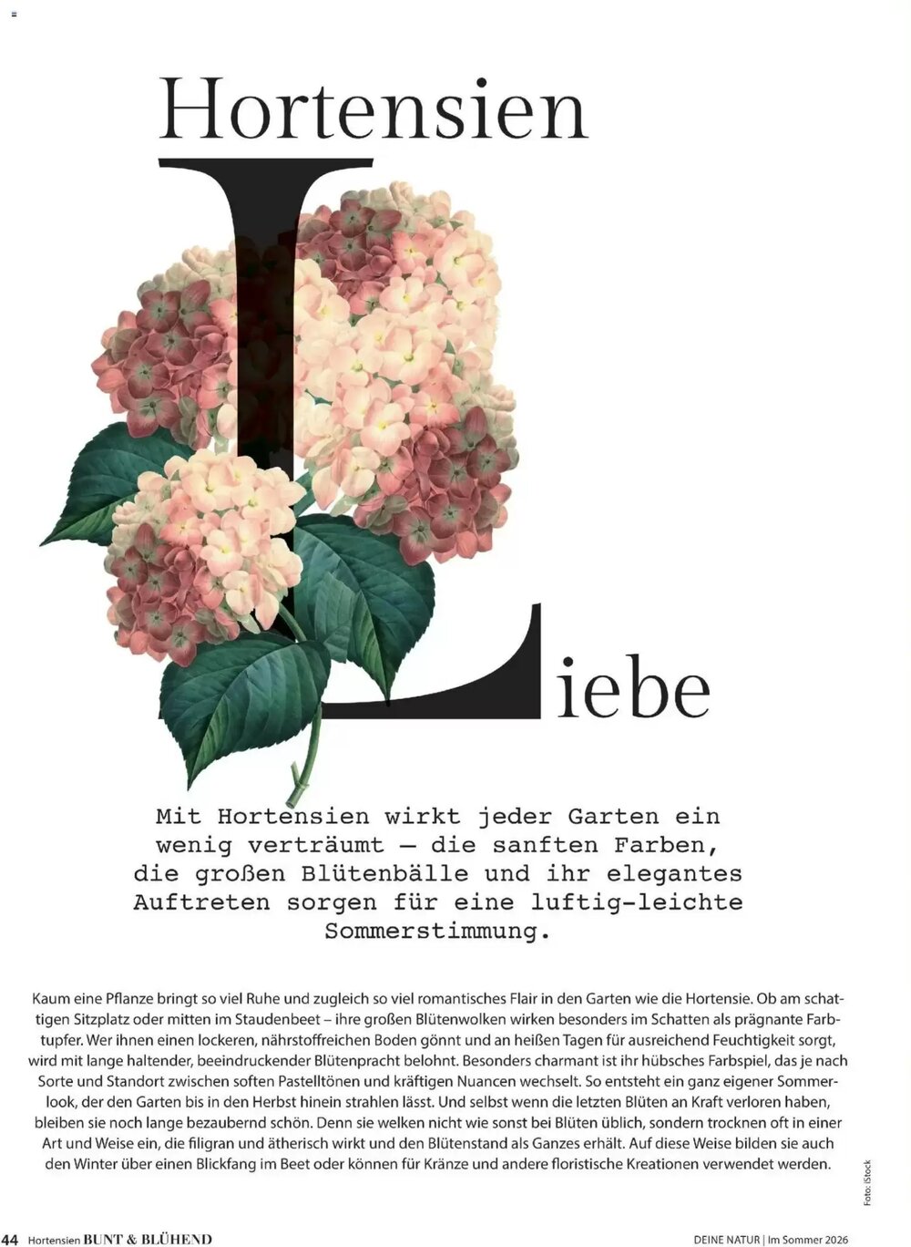 Dehner Prospekt (ab 17.04.2026) zum Blättern - Seite 44