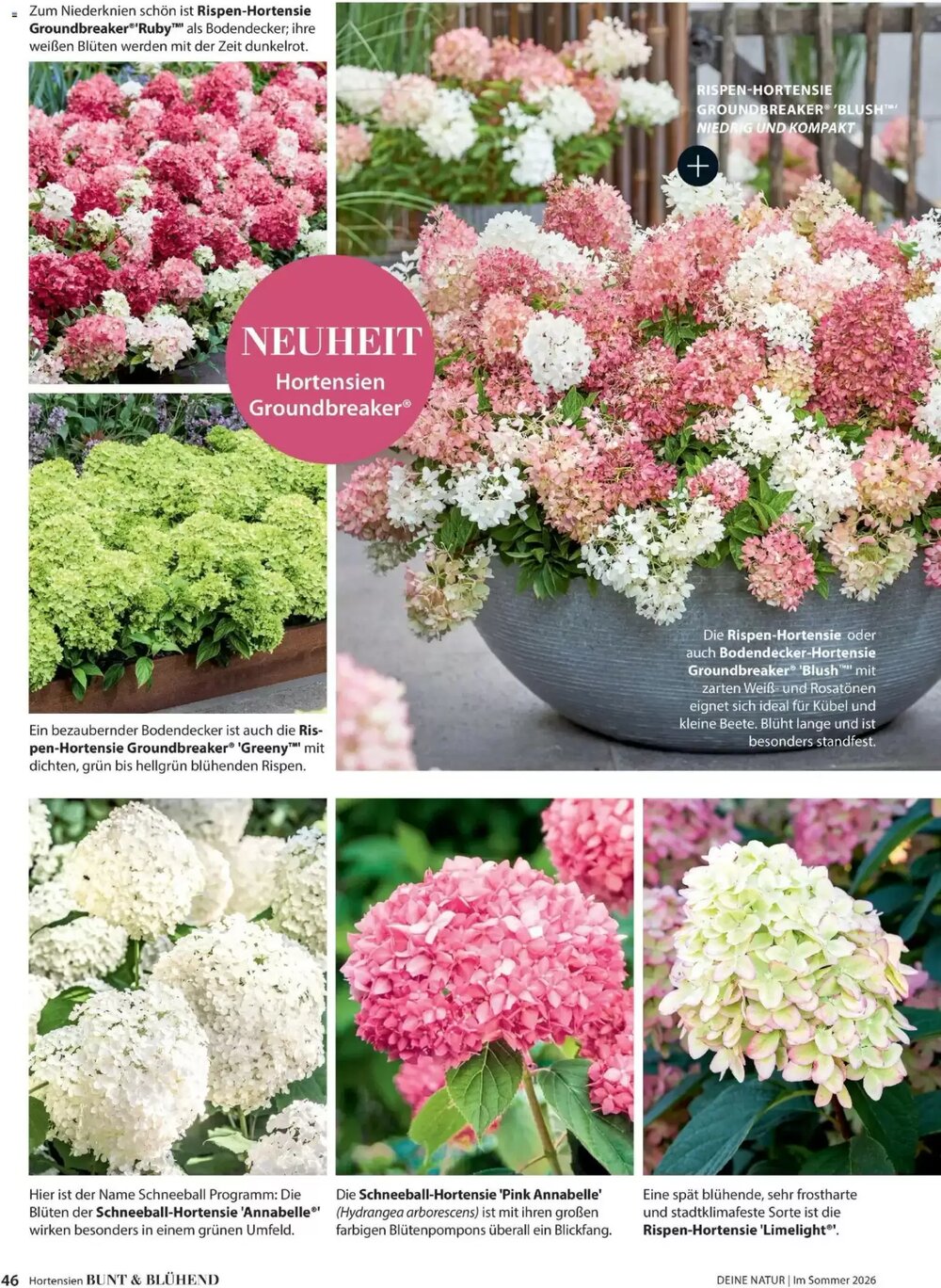 Dehner Prospekt (ab 17.04.2026) zum Blättern - Seite 46