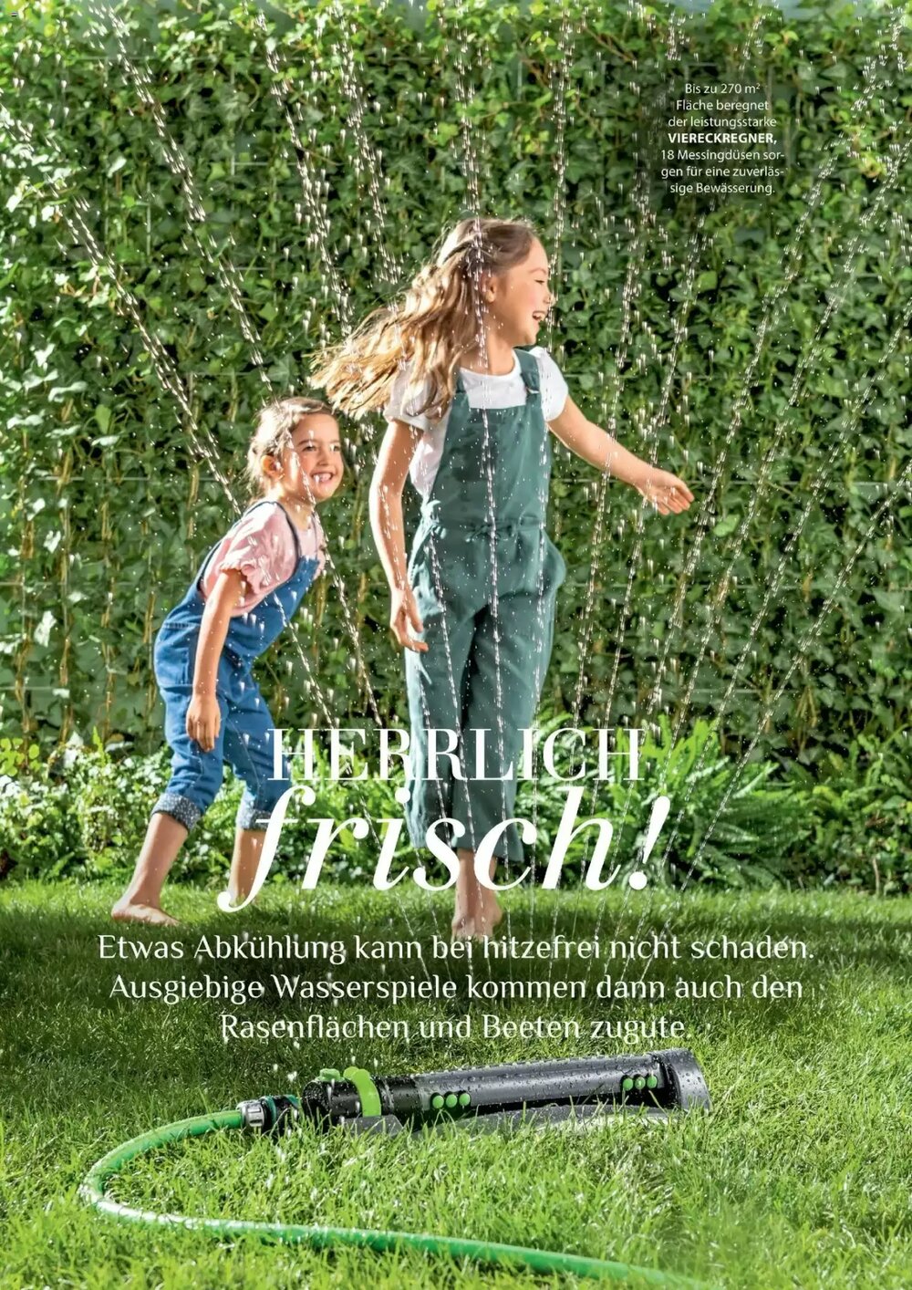 Dehner Prospekt (ab 17.04.2026) zum Blättern - Seite 62