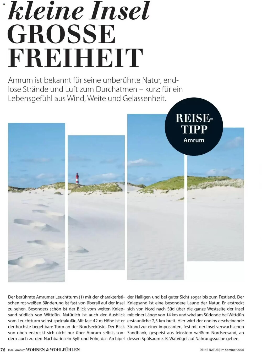 Dehner Prospekt (ab 17.04.2026) zum Blättern - Seite 76