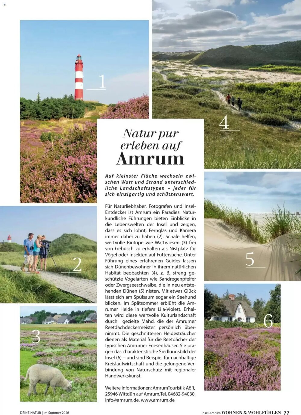 Dehner Prospekt (ab 17.04.2026) zum Blättern - Seite 77