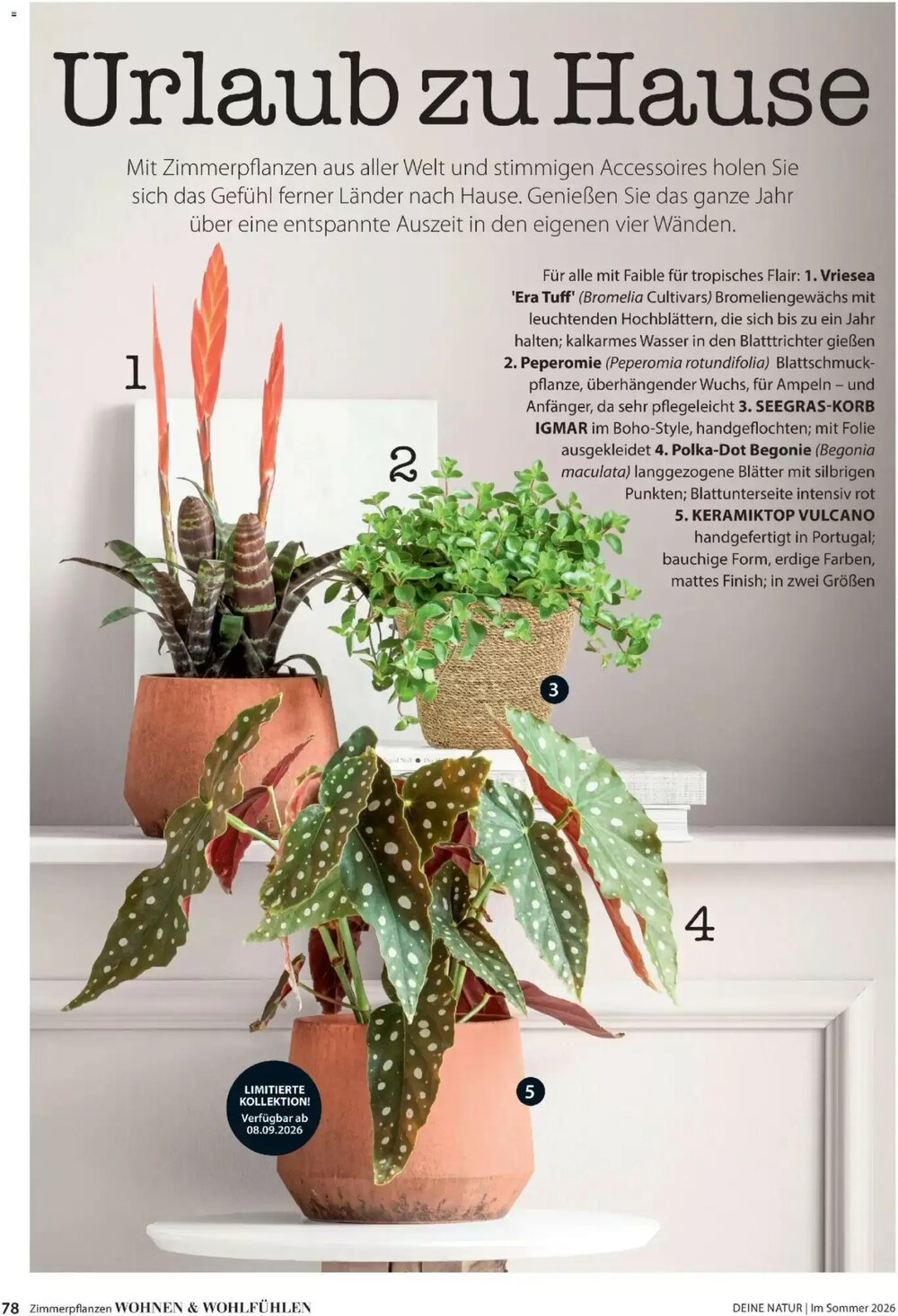 Dehner Prospekt (ab 17.04.2026) zum Blättern - Seite 78