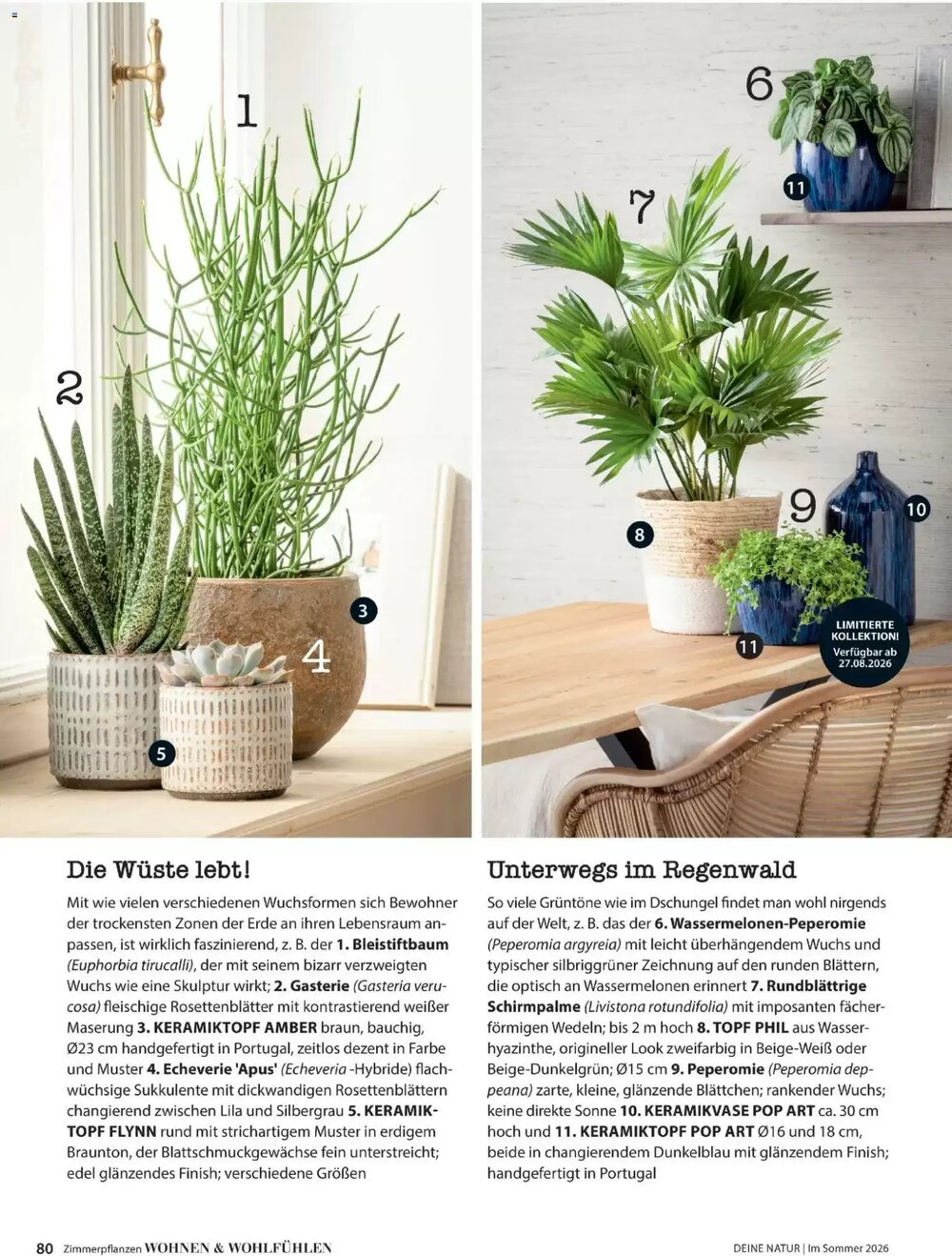 Dehner Prospekt (ab 17.04.2026) zum Blättern - Seite 80