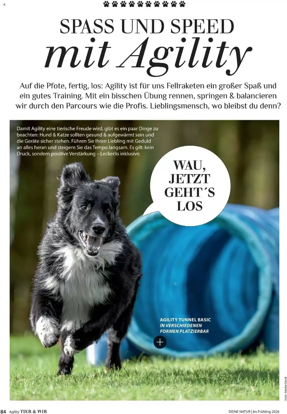 Dehner Prospekt (ab 17.04.2026) zum Blättern - Seite 84