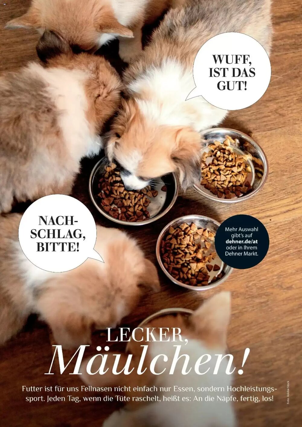 Dehner Prospekt (ab 17.04.2026) zum Blättern - Seite 88