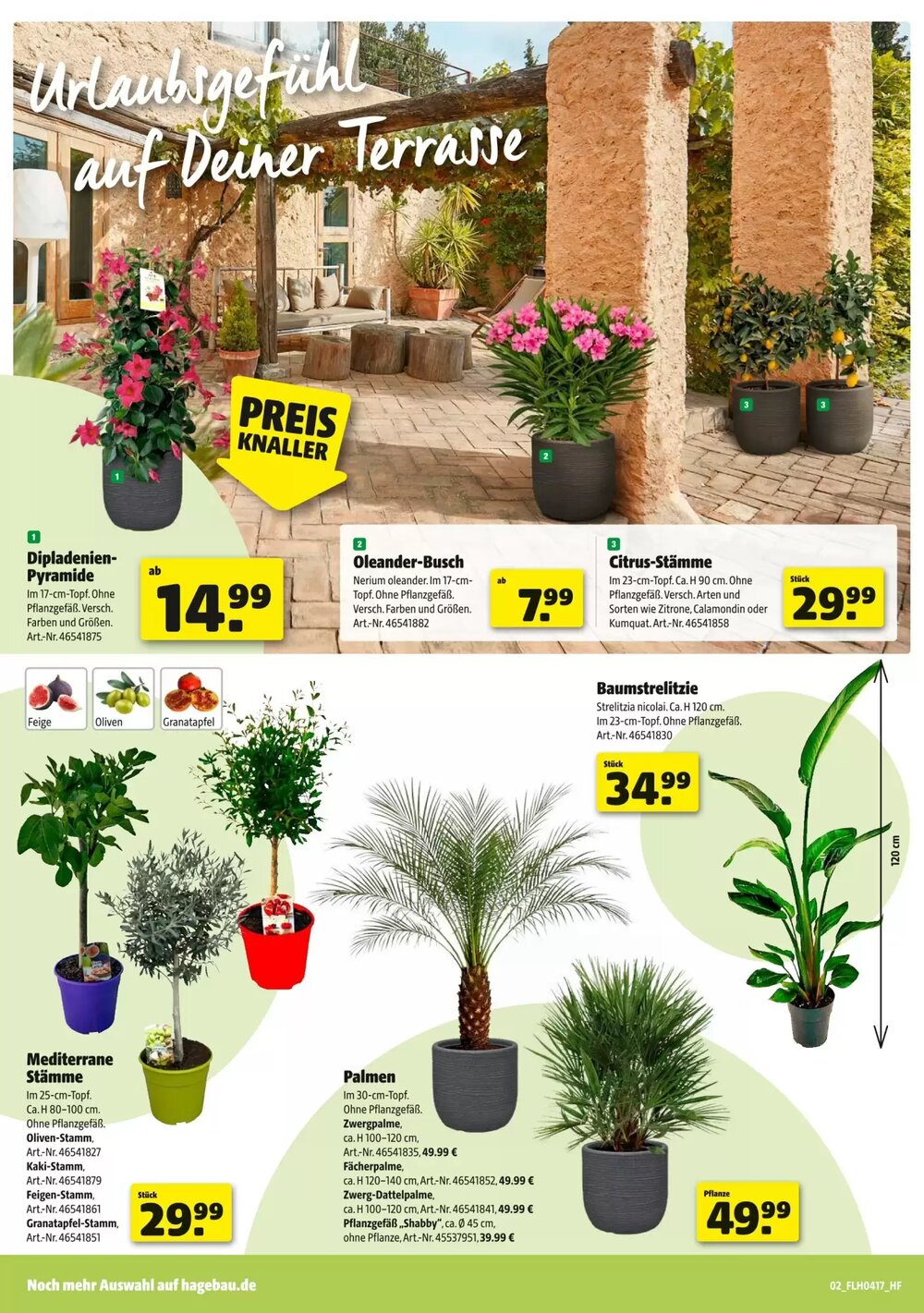 Hagebau Prospekt (ab 18.04.2026) zum Blättern - Seite 2