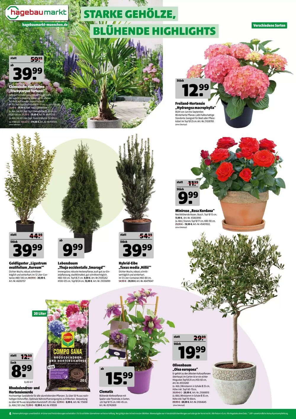 Hagebau Prospekt (ab 18.04.2026) zum Blättern - Seite 4