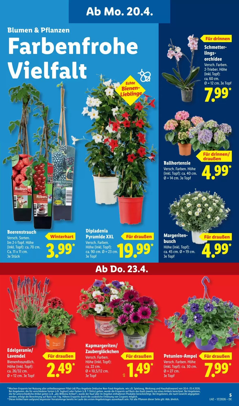 Lidl Prospekt (ab 20.04.2026) zum Blättern - Seite 11