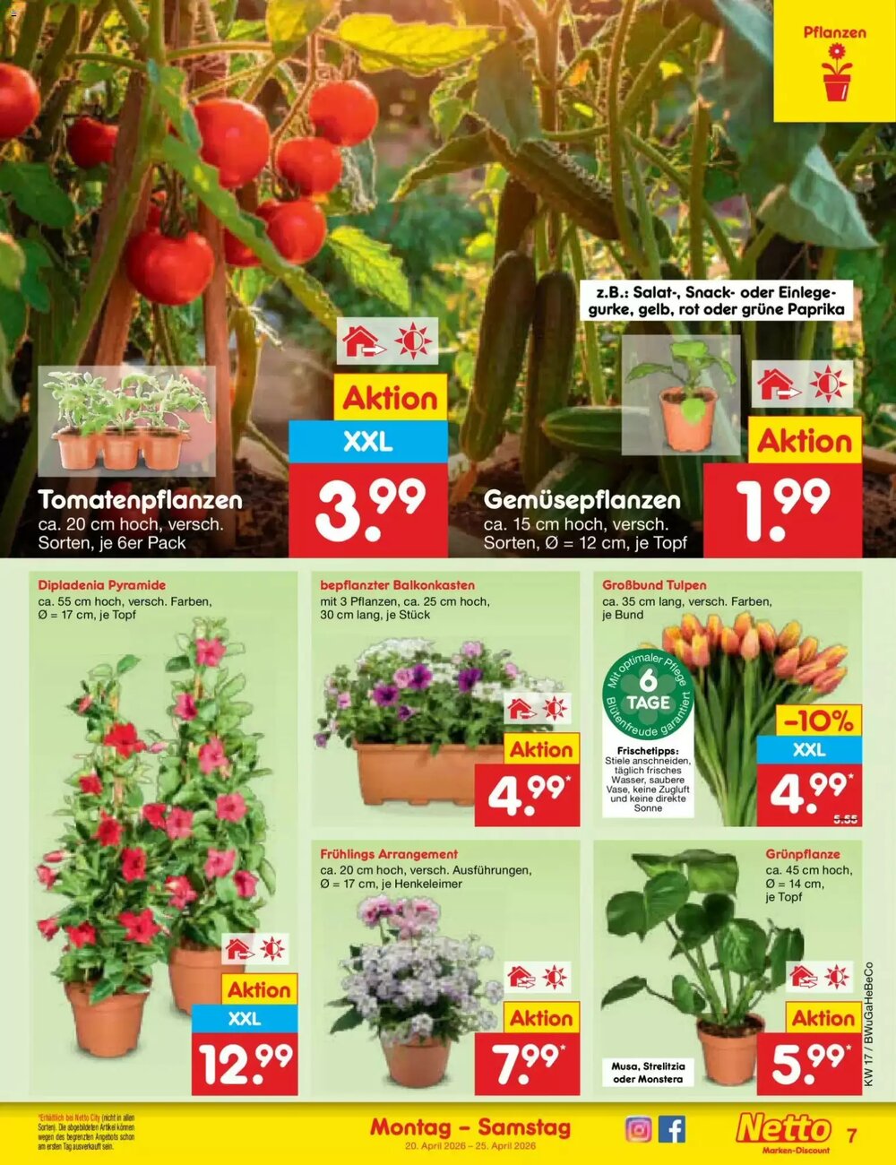 Netto Marken-Discount Prospekt (ab 20.04.2026) zum Blättern - Seite 9