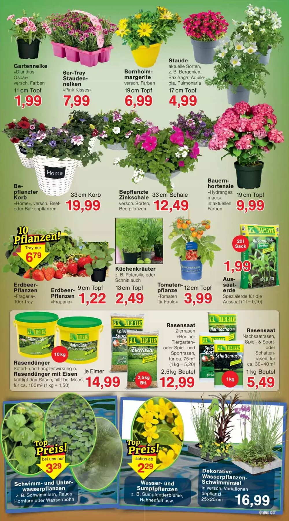 Wiglo Wunderland Prospekt (ab 20.04.2026) zum Blättern - Seite 11