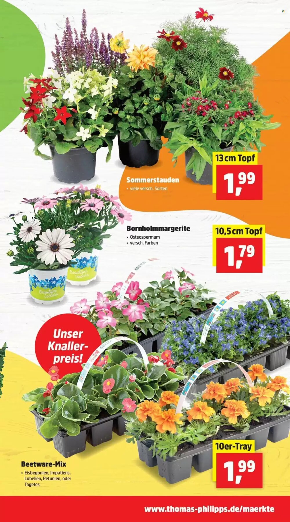 Thomas Philipps Prospekt (ab 20.04.2026) zum Blättern - Seite 3