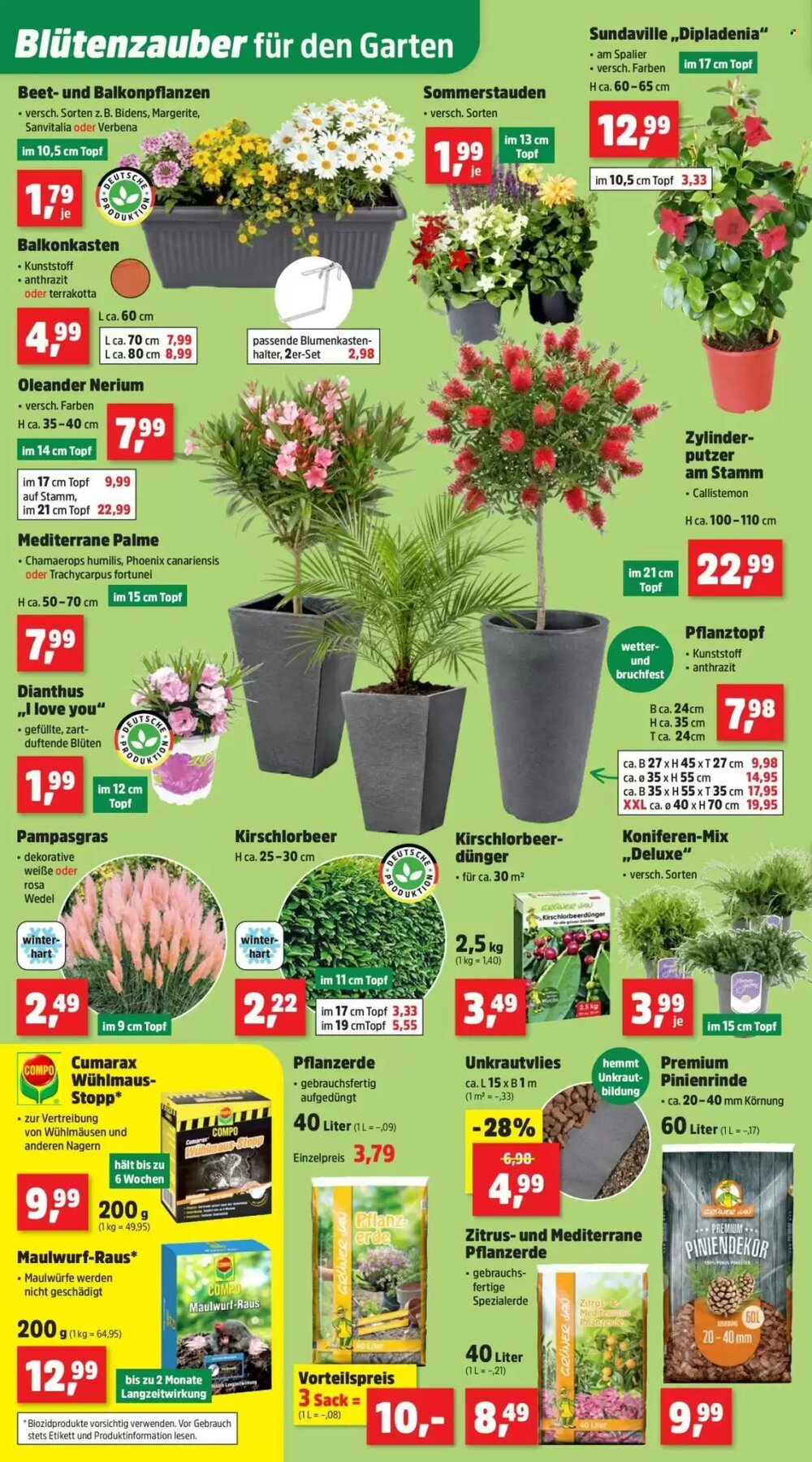 Thomas Philipps Prospekt (ab 20.04.2026) zum Blättern - Seite 6