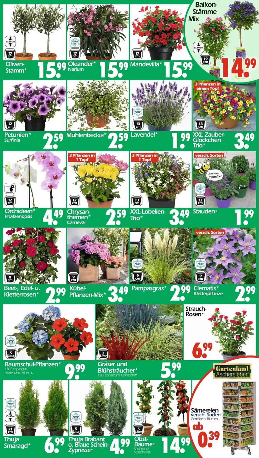 Wreesmann Prospekt (ab 20.04.2026) zum Blättern - Seite 3