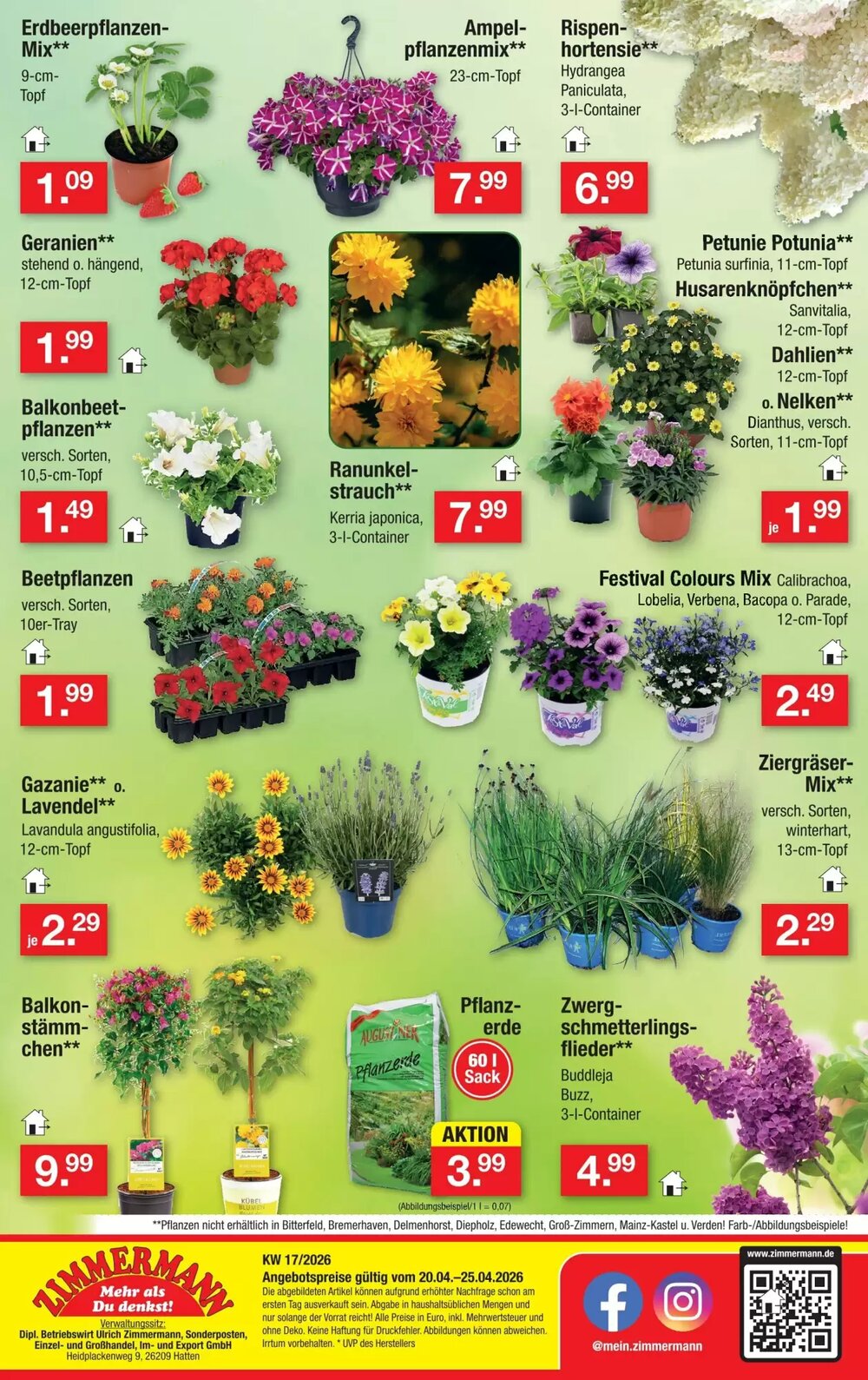 Zimmermann Prospekt (ab 20.04.2026) zum Blättern - Seite 10