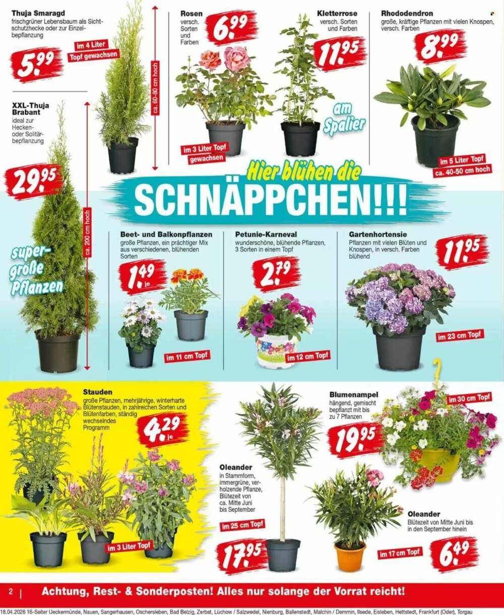 Repo Markt Prospekt (ab 20.04.2026) zum Blättern - Seite 2