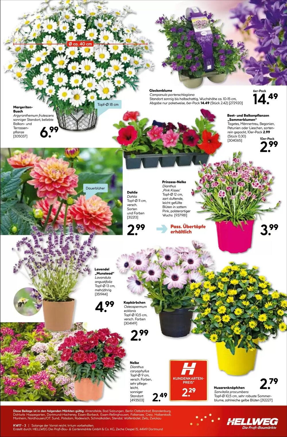 Hellweg Prospekt (ab 20.04.2026) zum Blättern - Seite 19