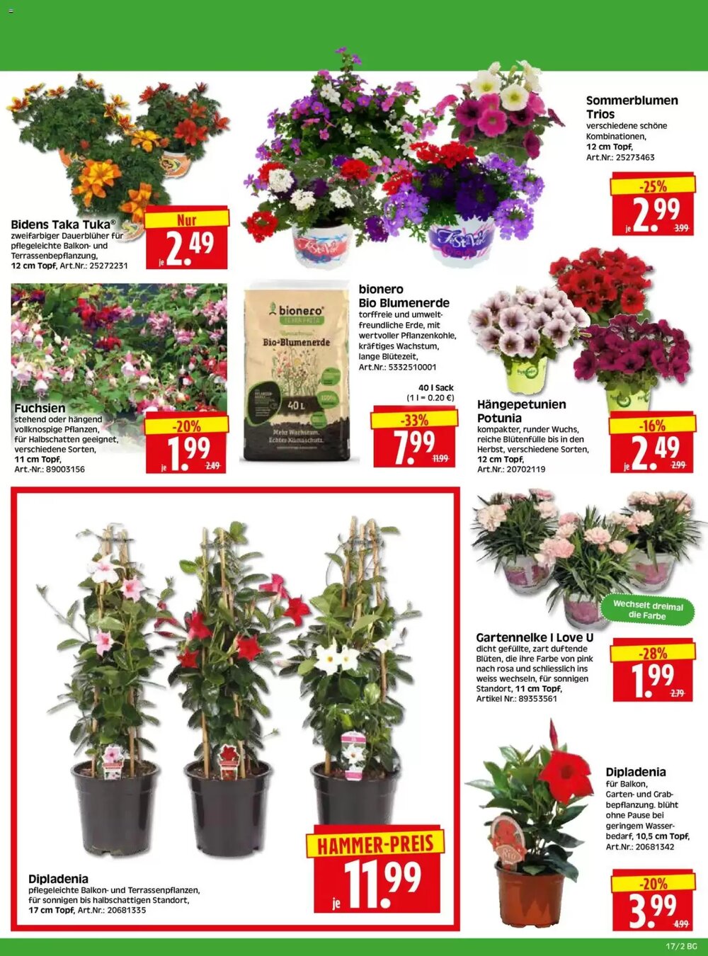 Herkules Baumarkt Prospekt (ab 20.04.2026) zum Blättern - Seite 2