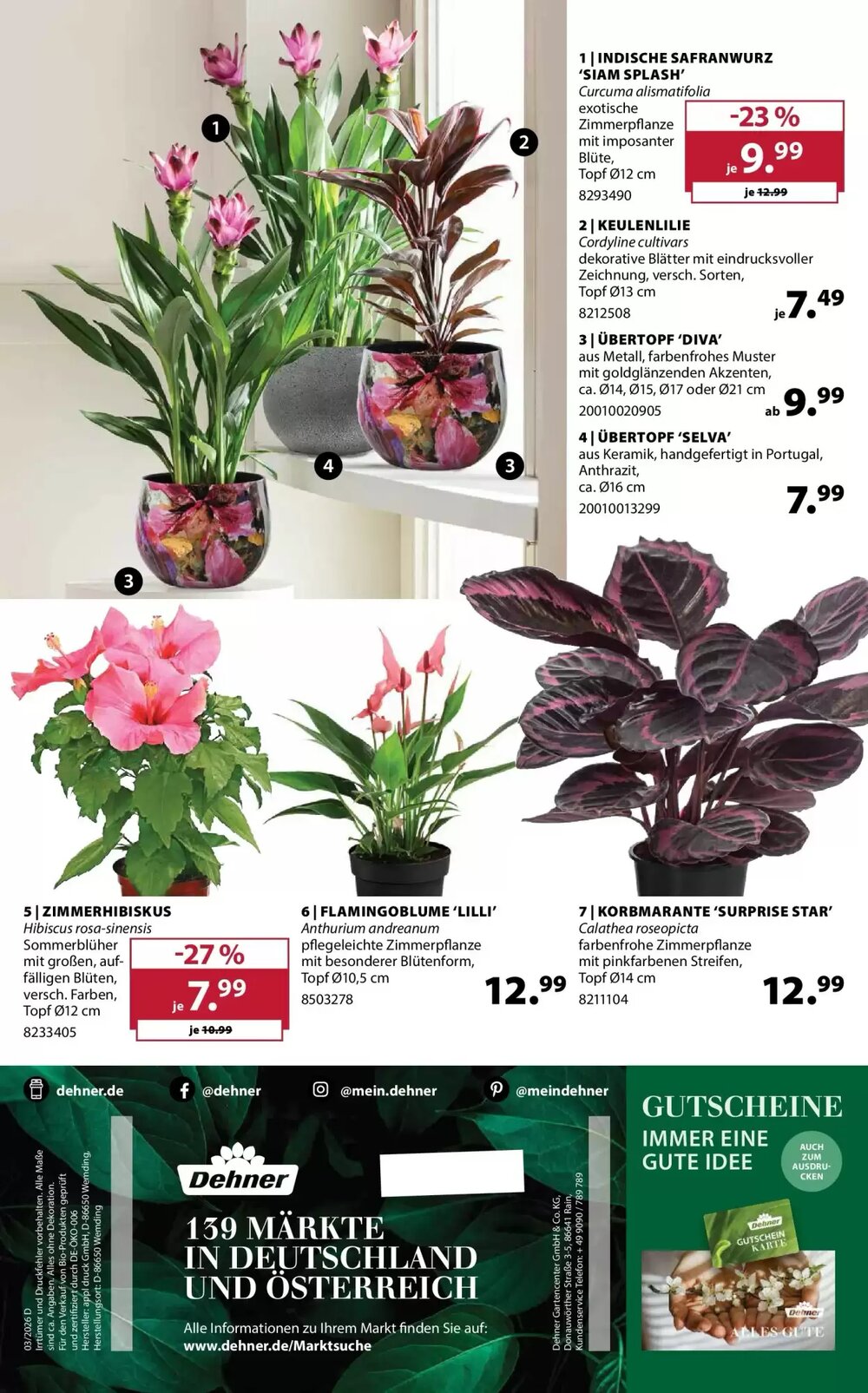 Dehner Prospekt (ab 21.04.2026) zum Blättern - Seite 16