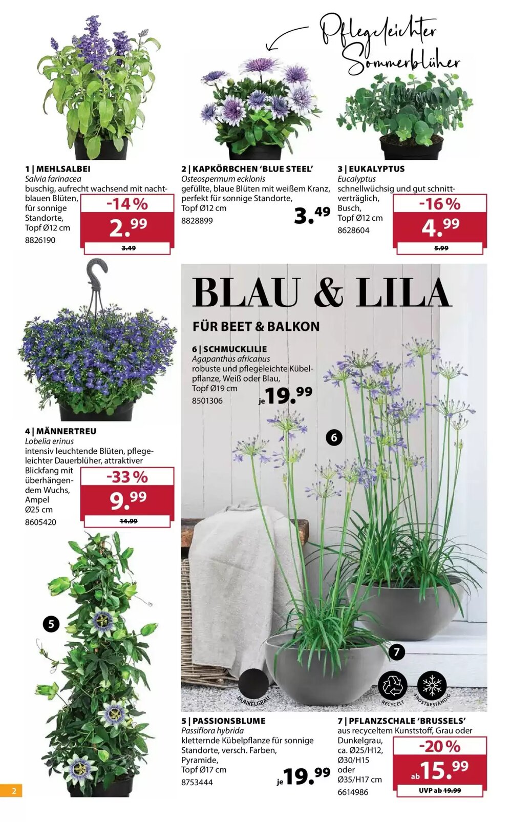 Dehner Prospekt (ab 21.04.2026) zum Blättern - Seite 2