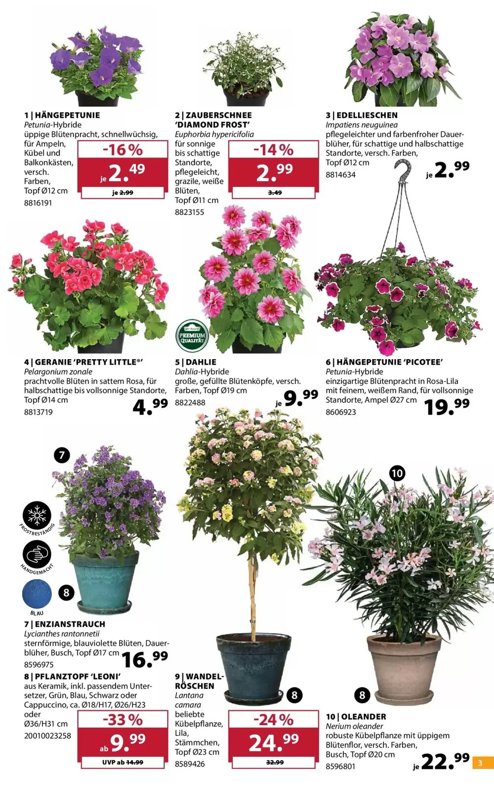 Dehner Prospekt (ab 21.04.2026) zum Blättern - Seite 3