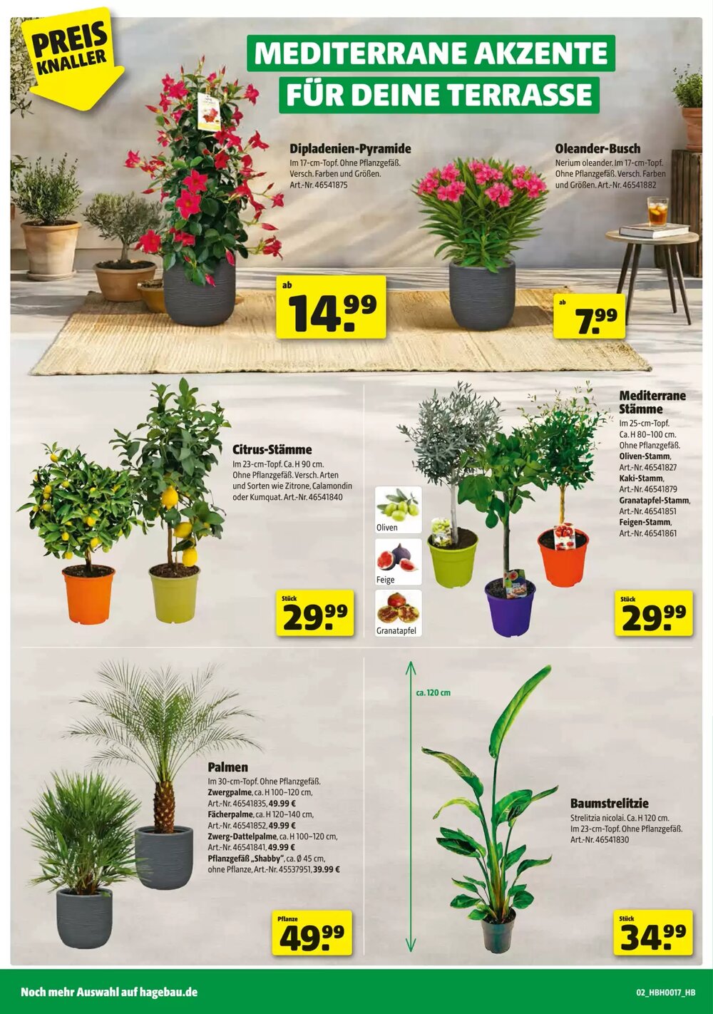 Leitermann Baumarkt Prospekt (ab 22.04.2026) zum Blättern - Seite 2