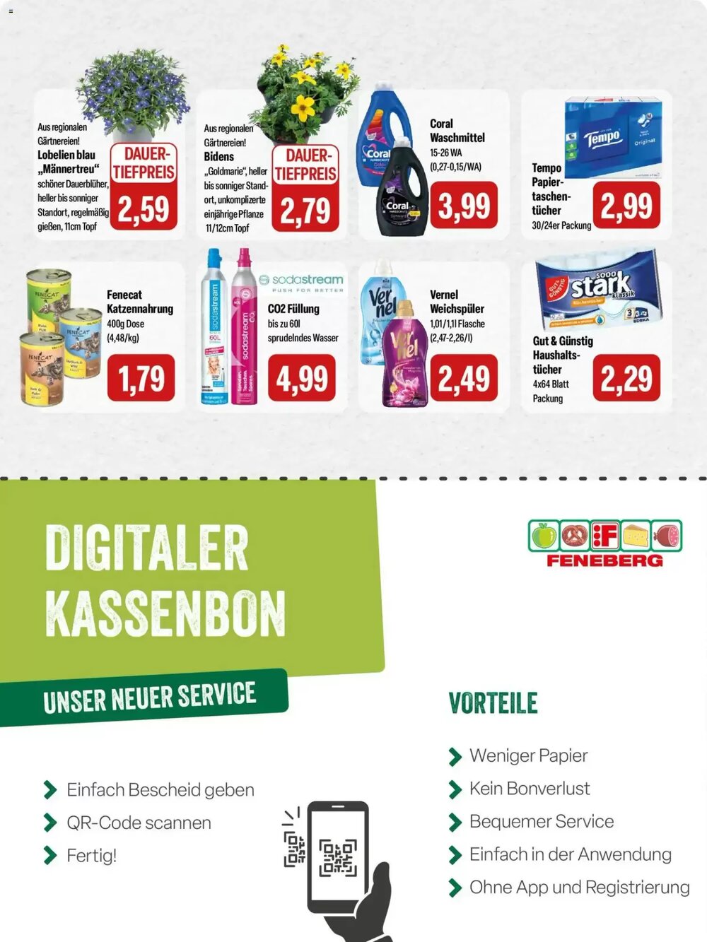 Feneberg Prospekt (ab 23.04.2026) zum Blättern - Seite 15