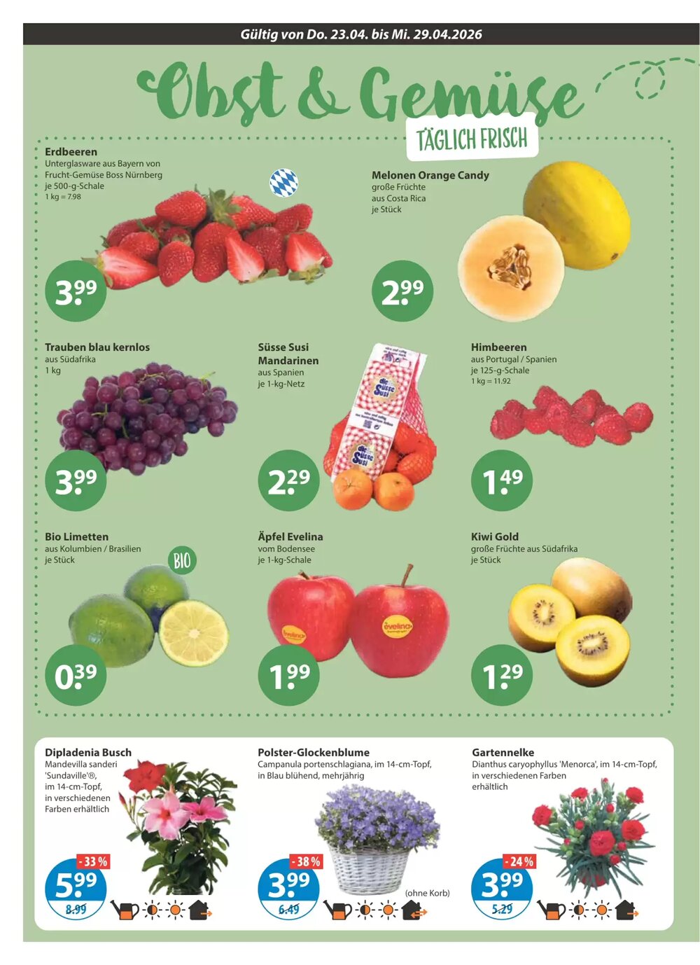 V Baumarkt Prospekt (ab 23.04.2026) zum Blättern - Seite 4