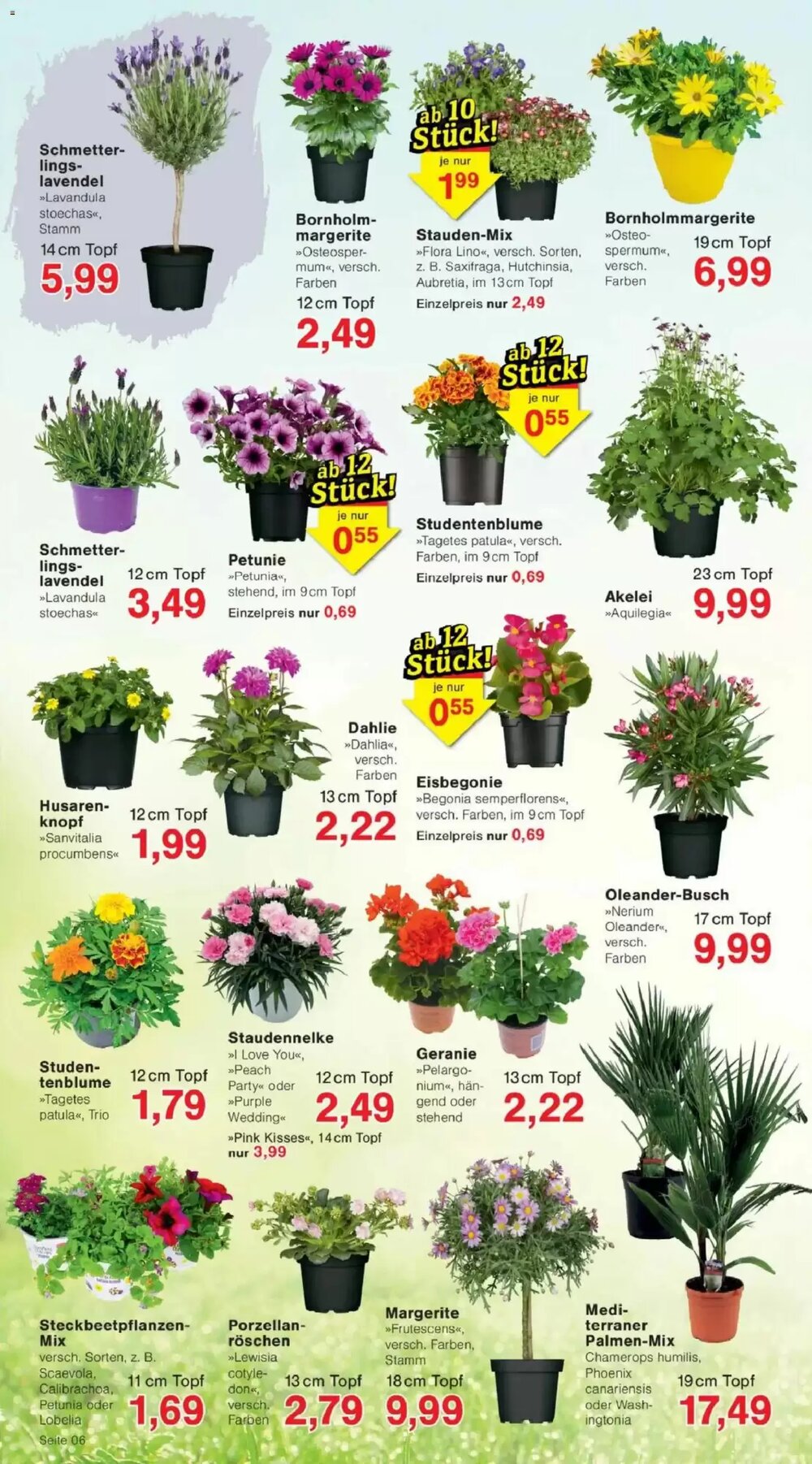 Jawoll Prospekt (ab 27.04.2026) zum Blättern - Seite 6