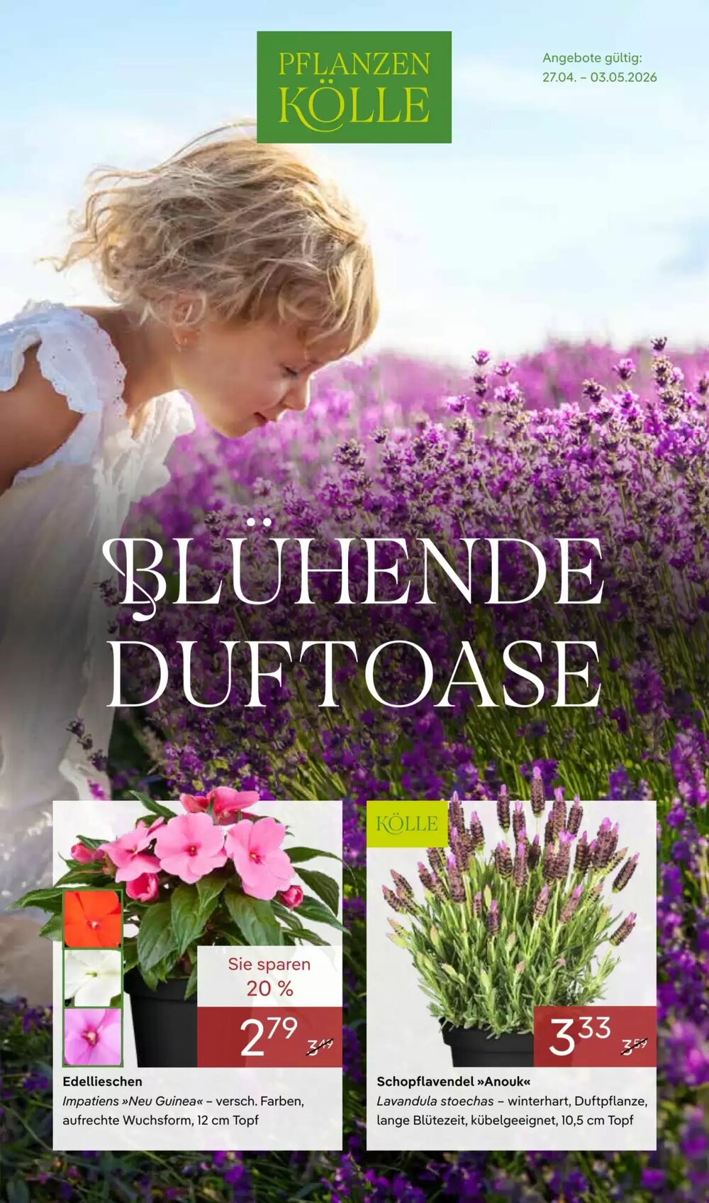 Pflanzen Kölle Prospekt (ab 27.04.2026) zum Blättern - Seite 1