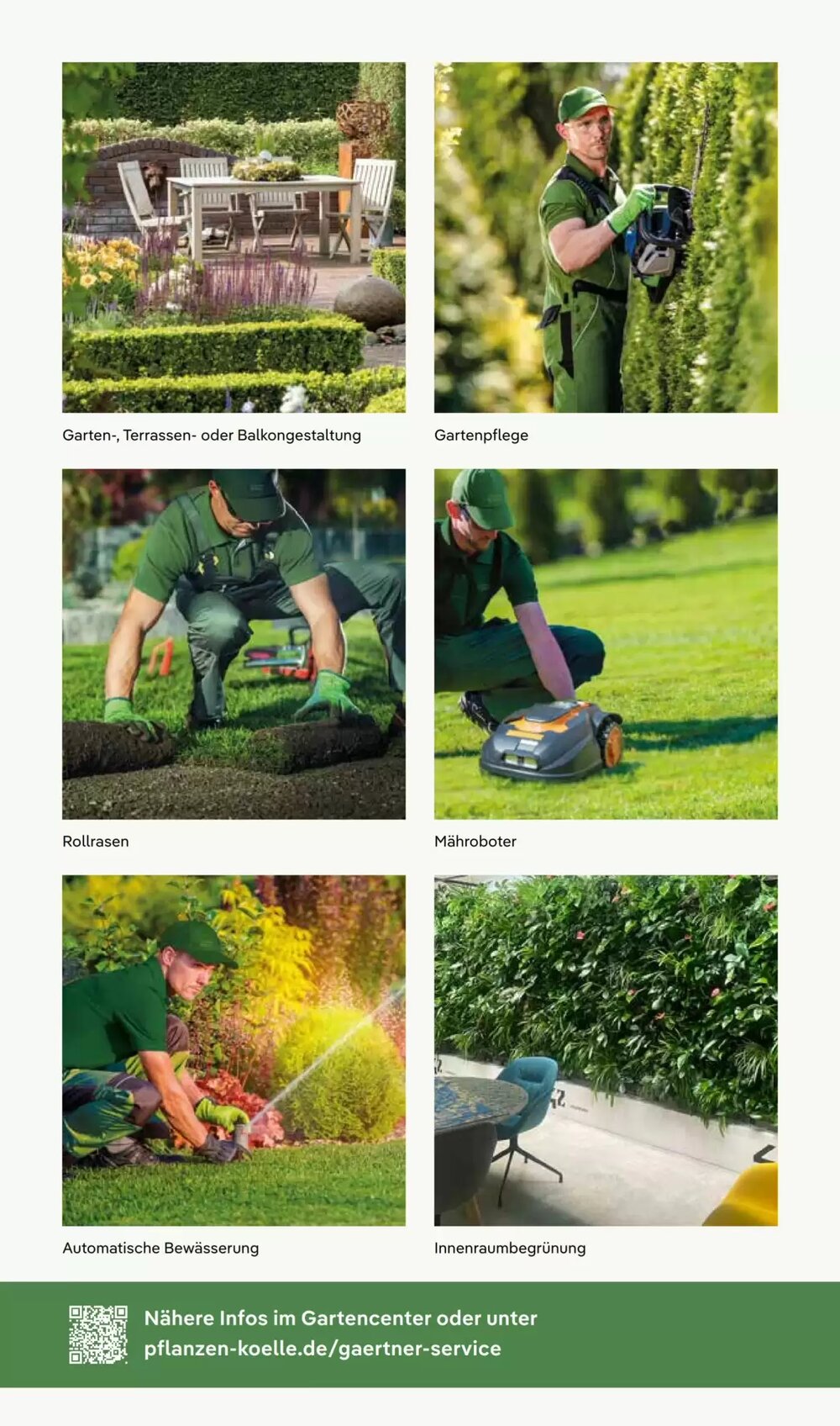 Pflanzen Kölle Prospekt (ab 27.04.2026) zum Blättern - Seite 12