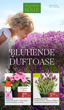 Pflanzen Kölle Prospekt (ab 27.04.2026) zum Blättern