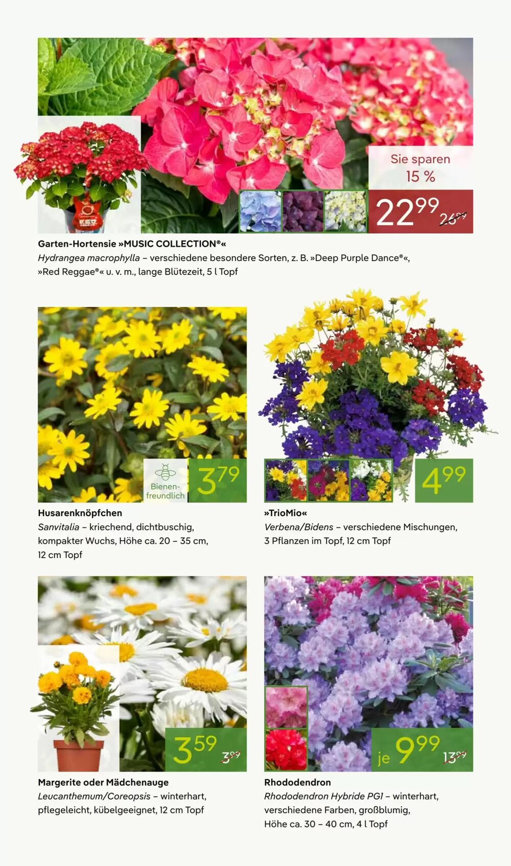 Pflanzen Kölle Prospekt (ab 27.04.2026) zum Blättern - Seite 3