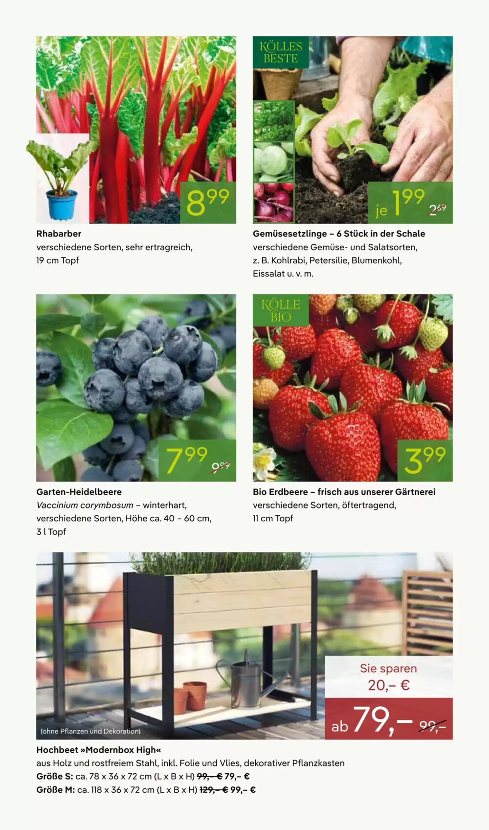 Pflanzen Kölle Prospekt (ab 27.04.2026) zum Blättern - Seite 6