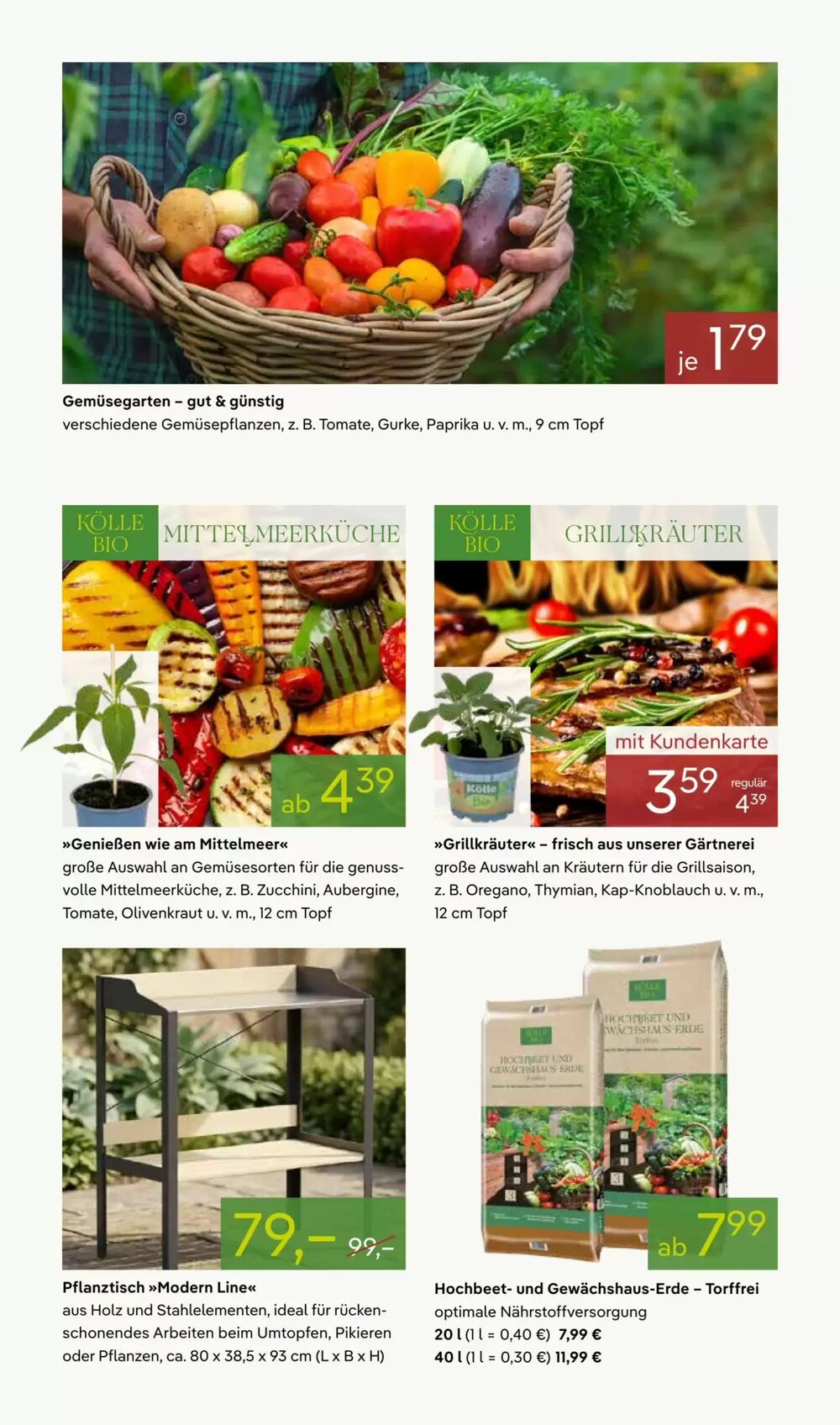 Pflanzen Kölle Prospekt (ab 27.04.2026) zum Blättern - Seite 7