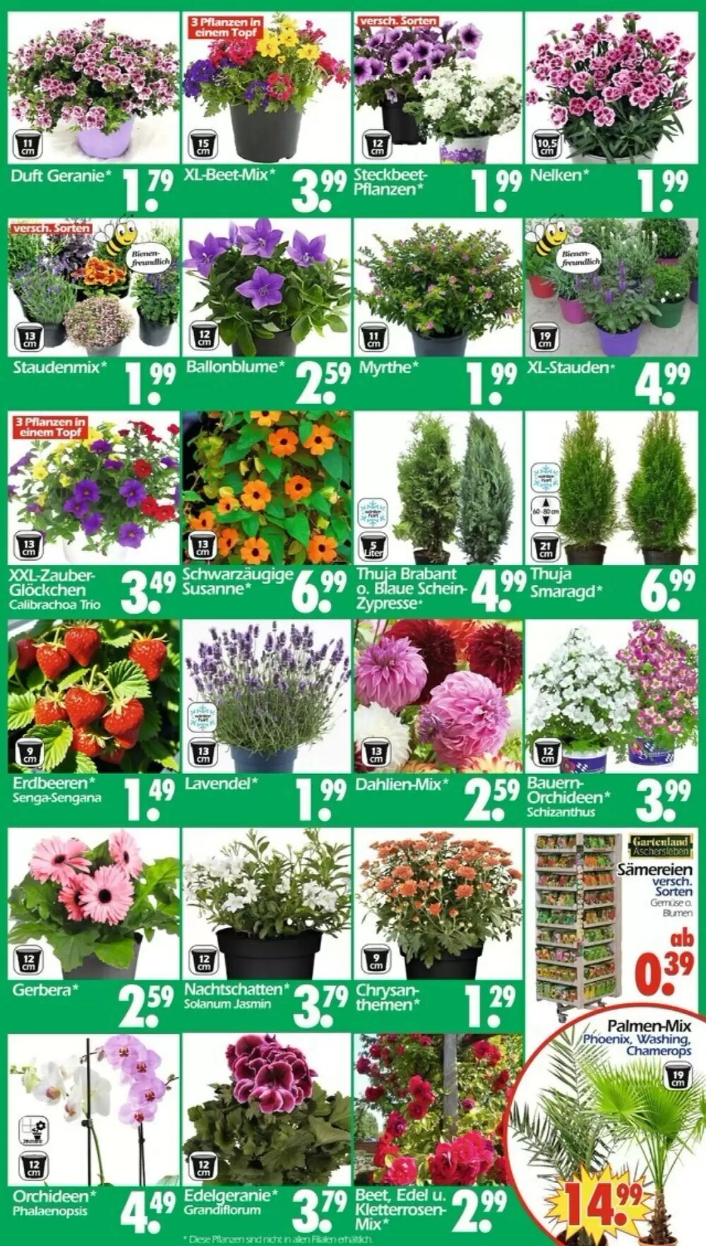 Wreesmann Prospekt (ab 27.04.2026) zum Blättern - Seite 3